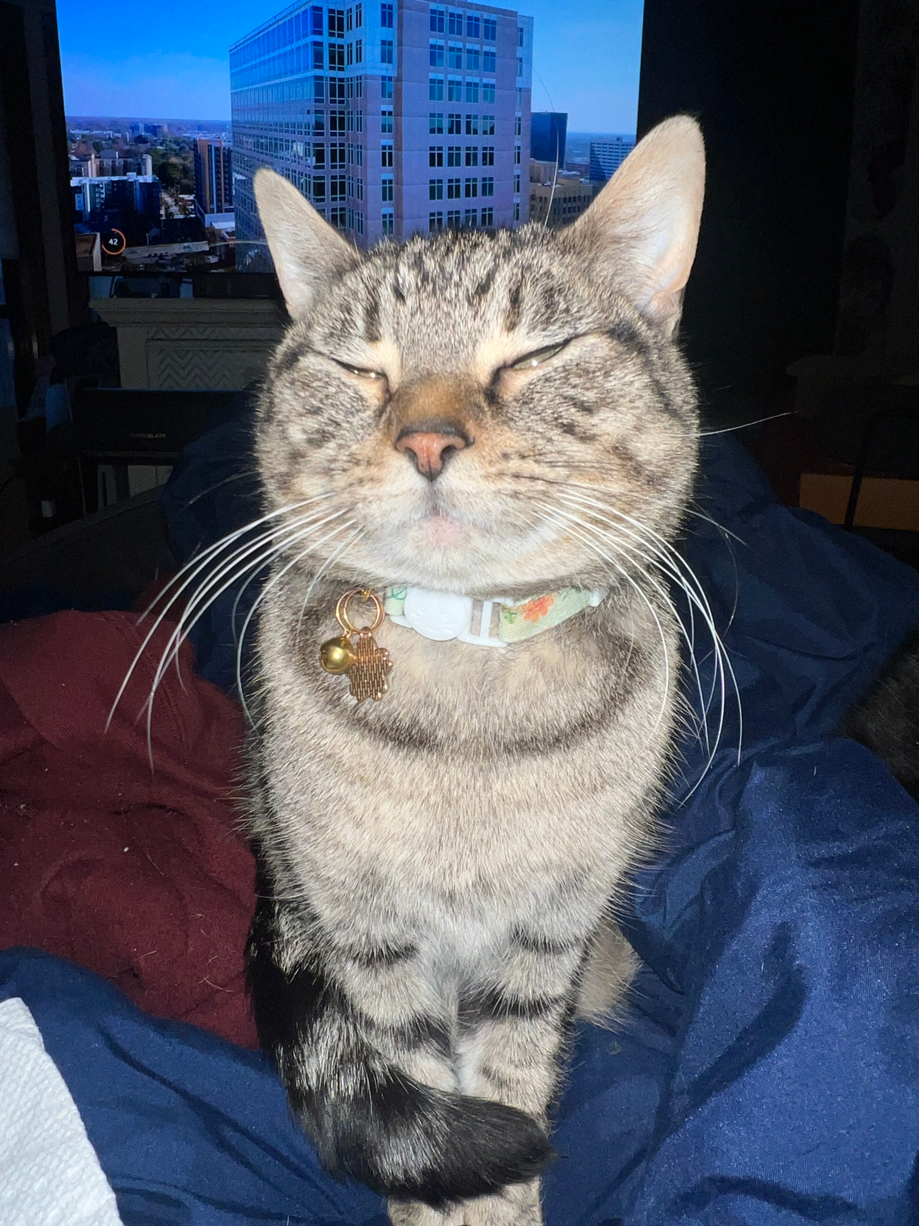 user avatar image for Caroline
