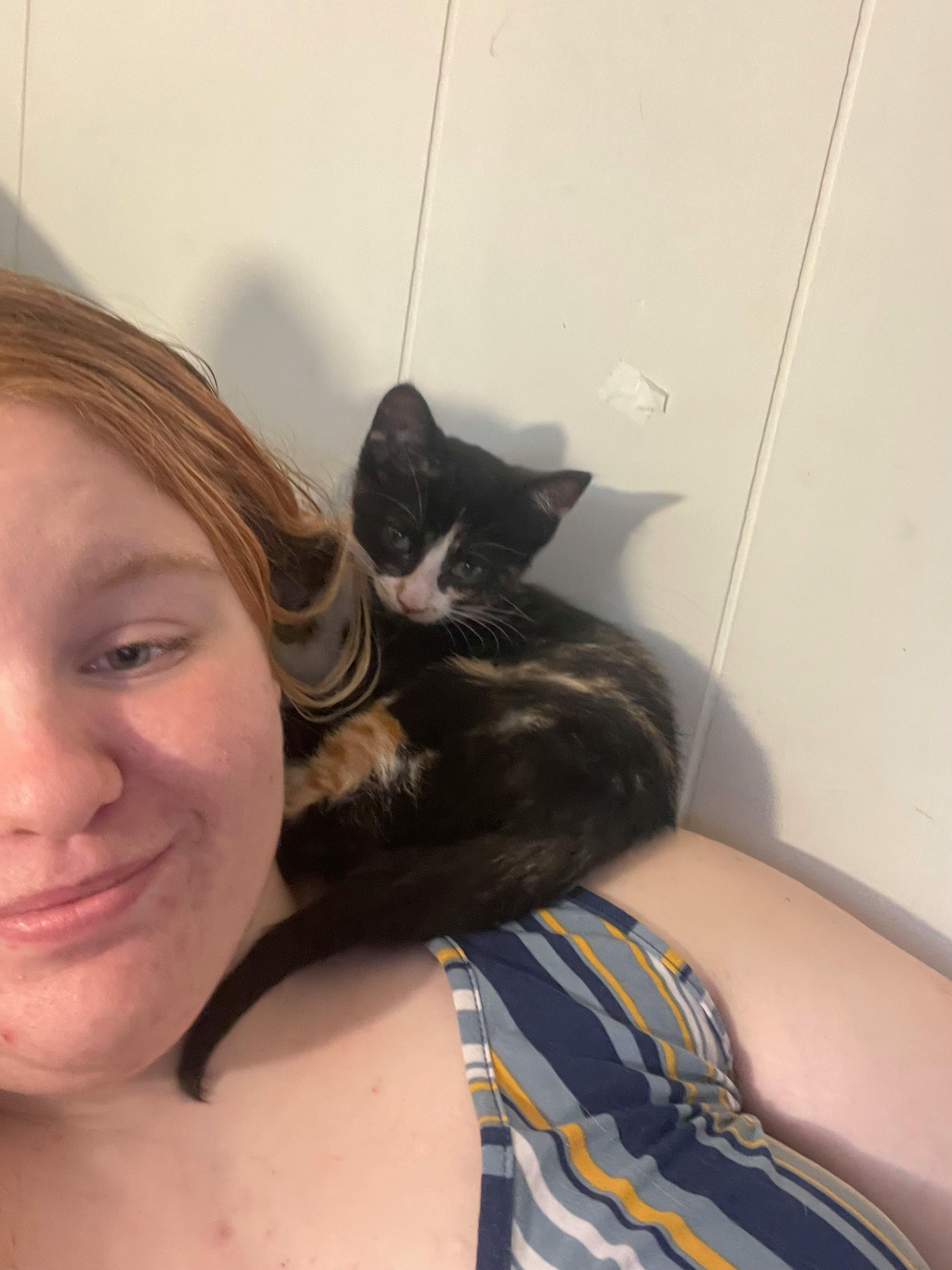 user avatar image for Angel