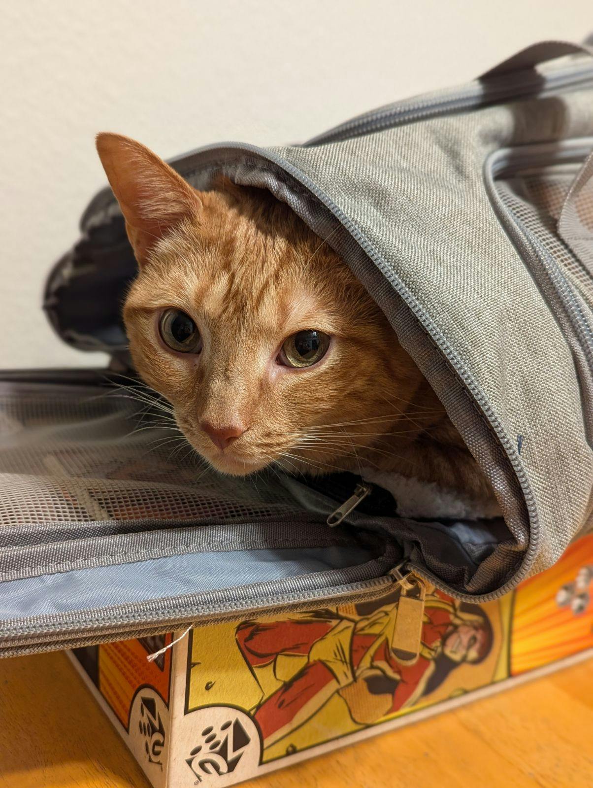 user avatar image for Jim Z