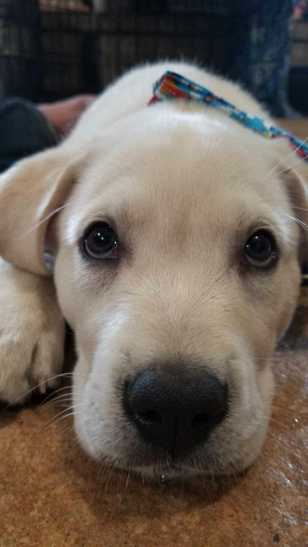 user avatar image for Sarah Elliott