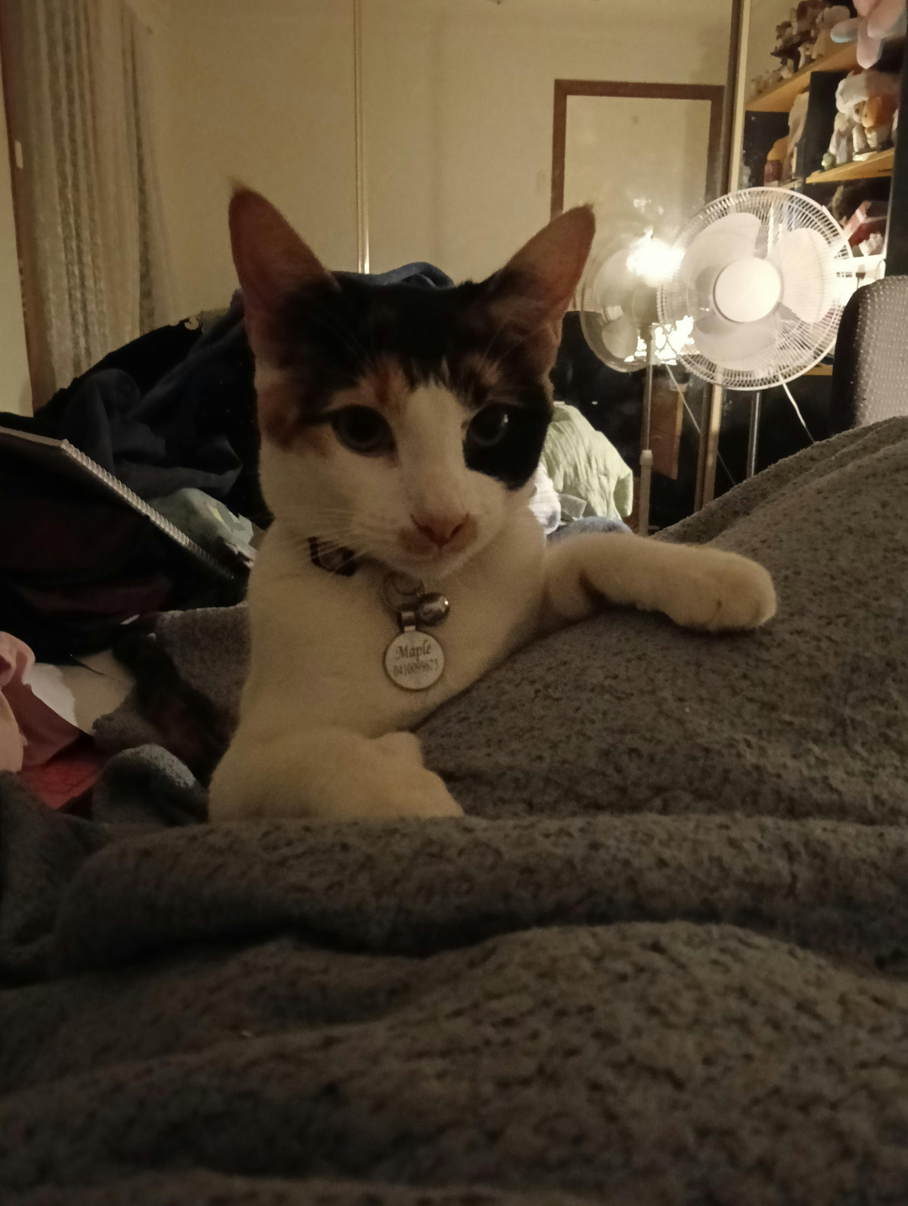 user avatar image for Atlas Crossman 