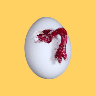 user avatar image for Age of Age