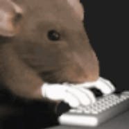 user avatar image for ShavneTurtle