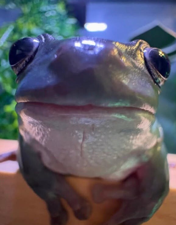 user avatar image for Skyliam