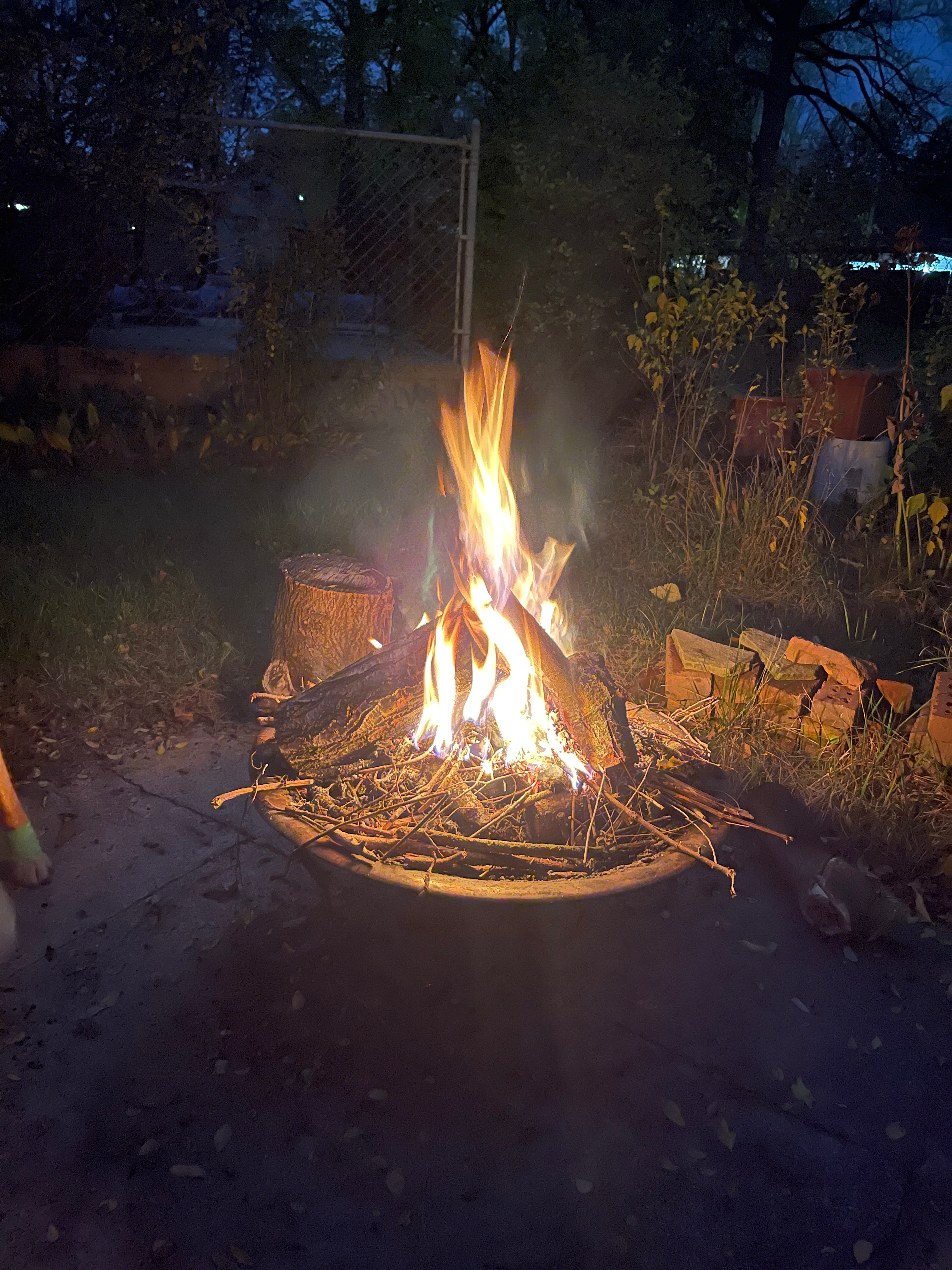 user avatar image for Cesar Santacana