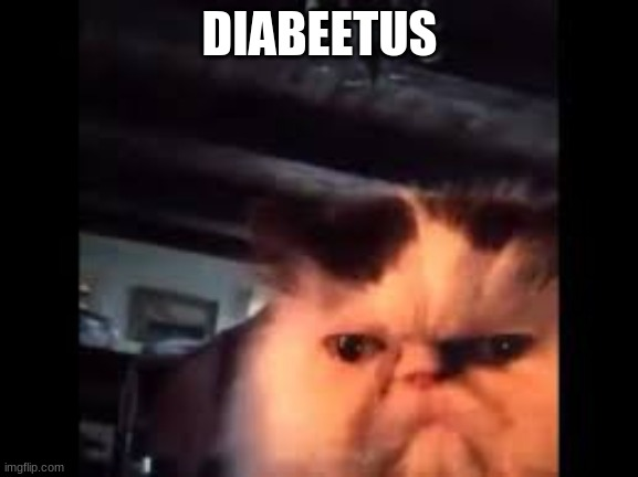 user avatar image for Sam