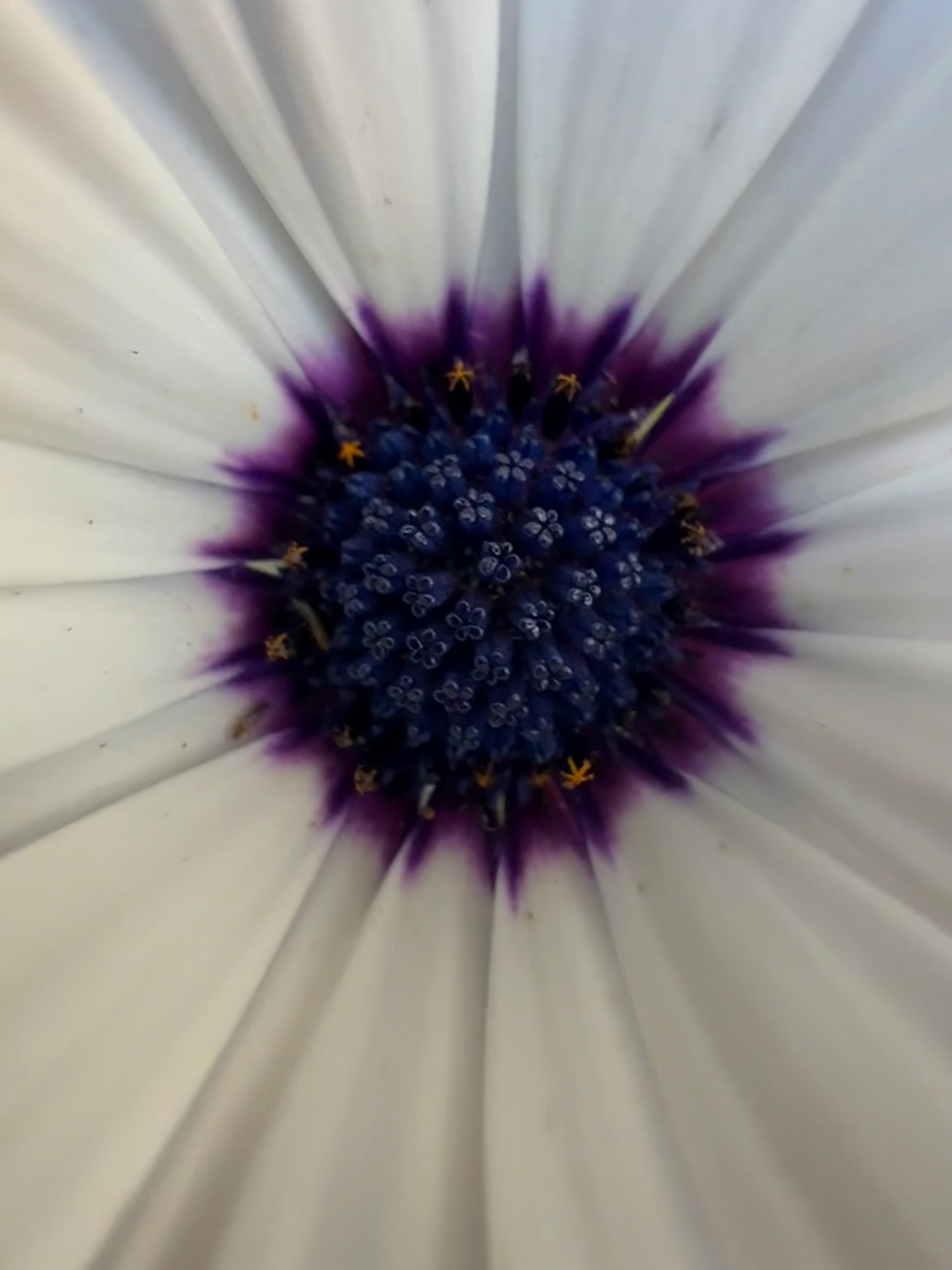 user avatar image for A-aron