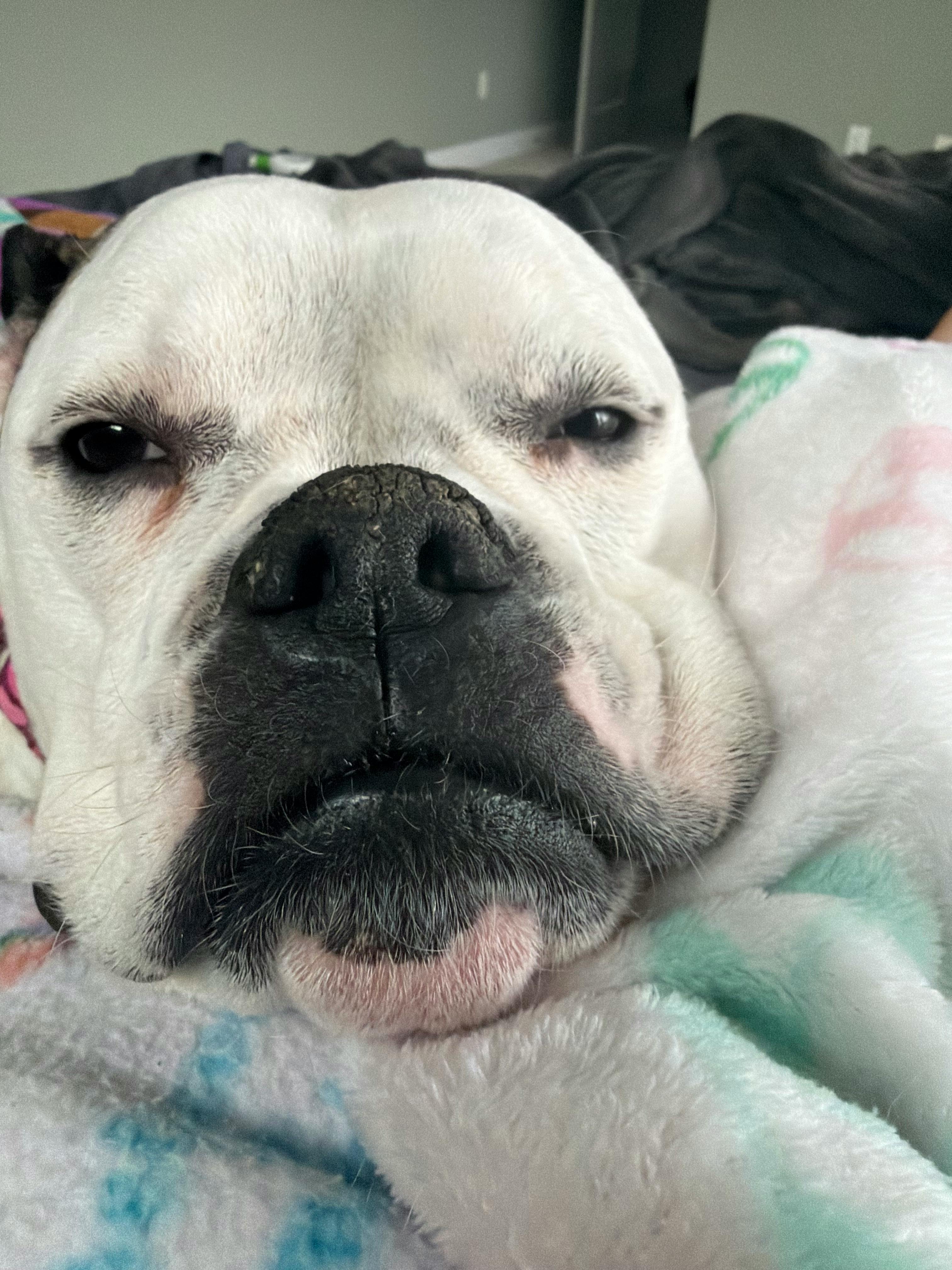 user avatar image for Frank L.