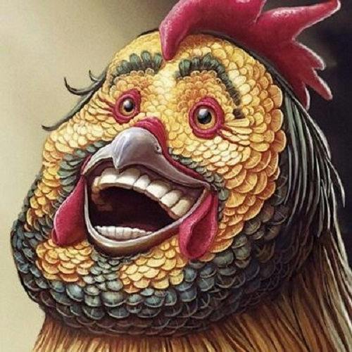 user avatar image for rarerooster