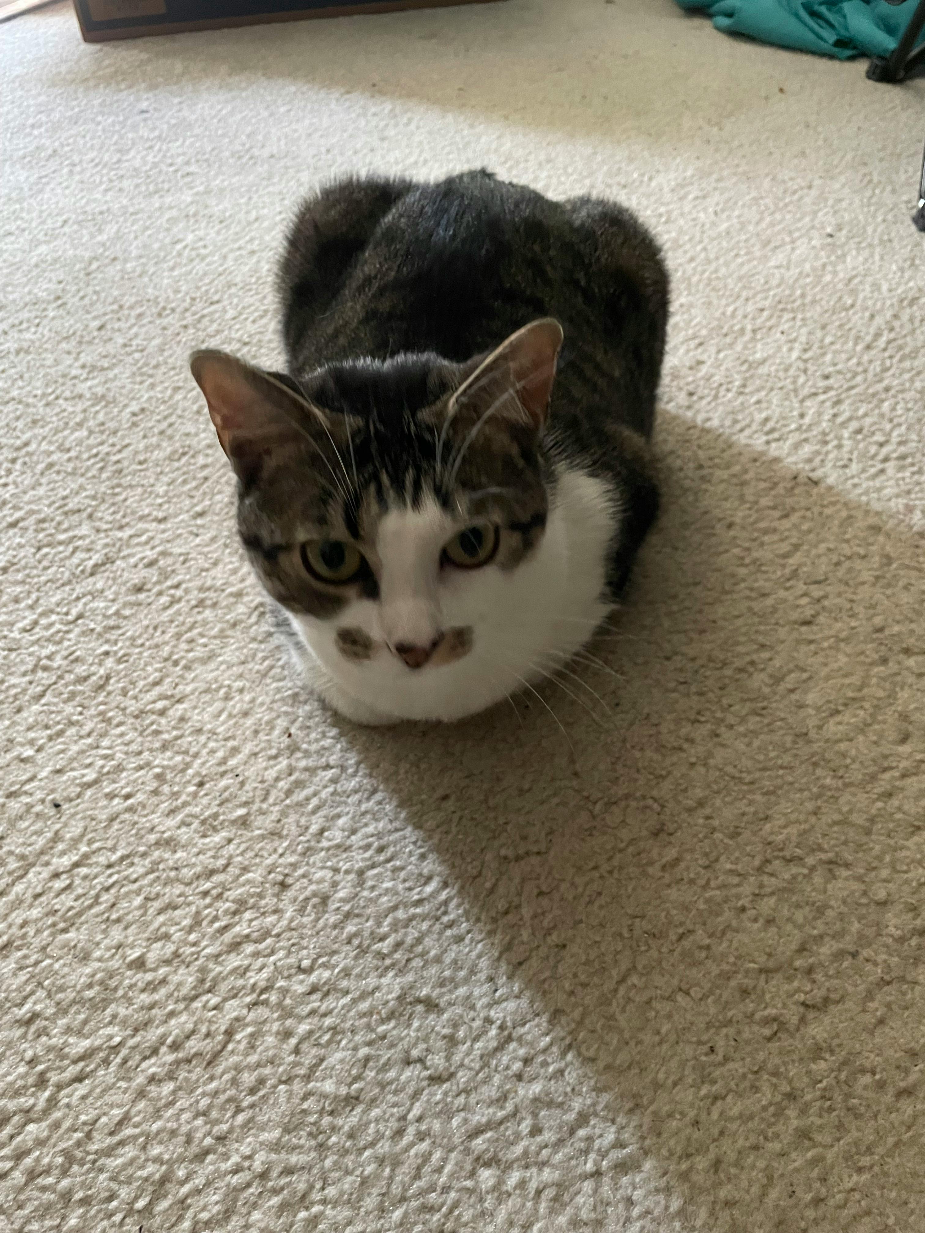 user avatar image for Victoria