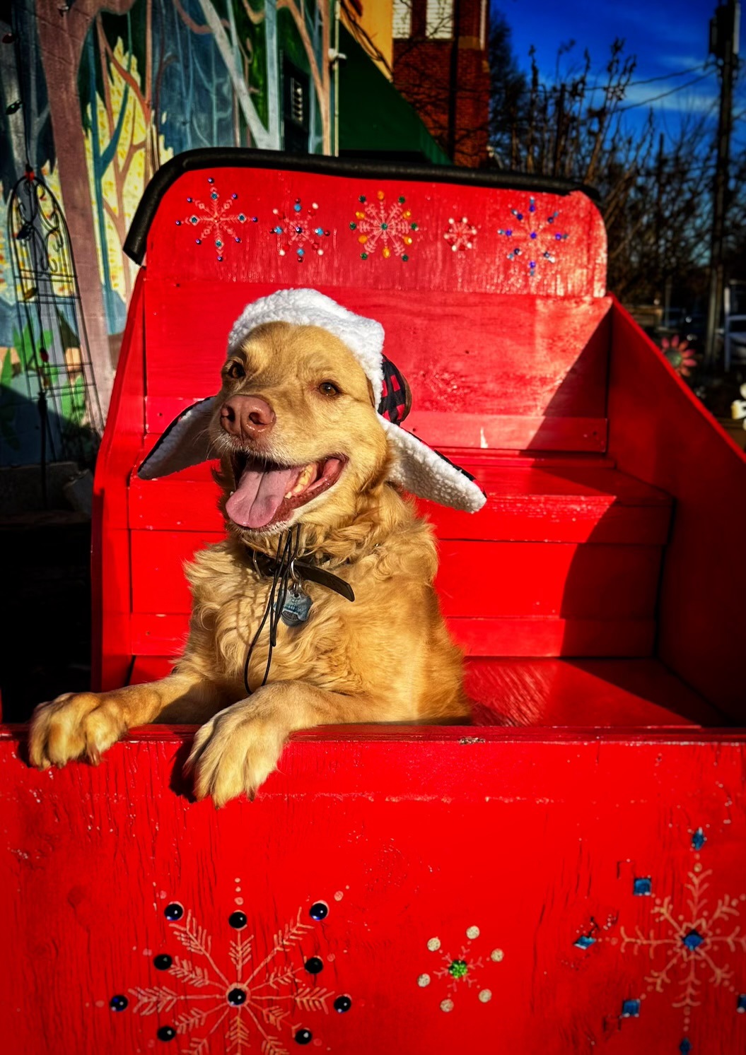 user avatar image for Witless