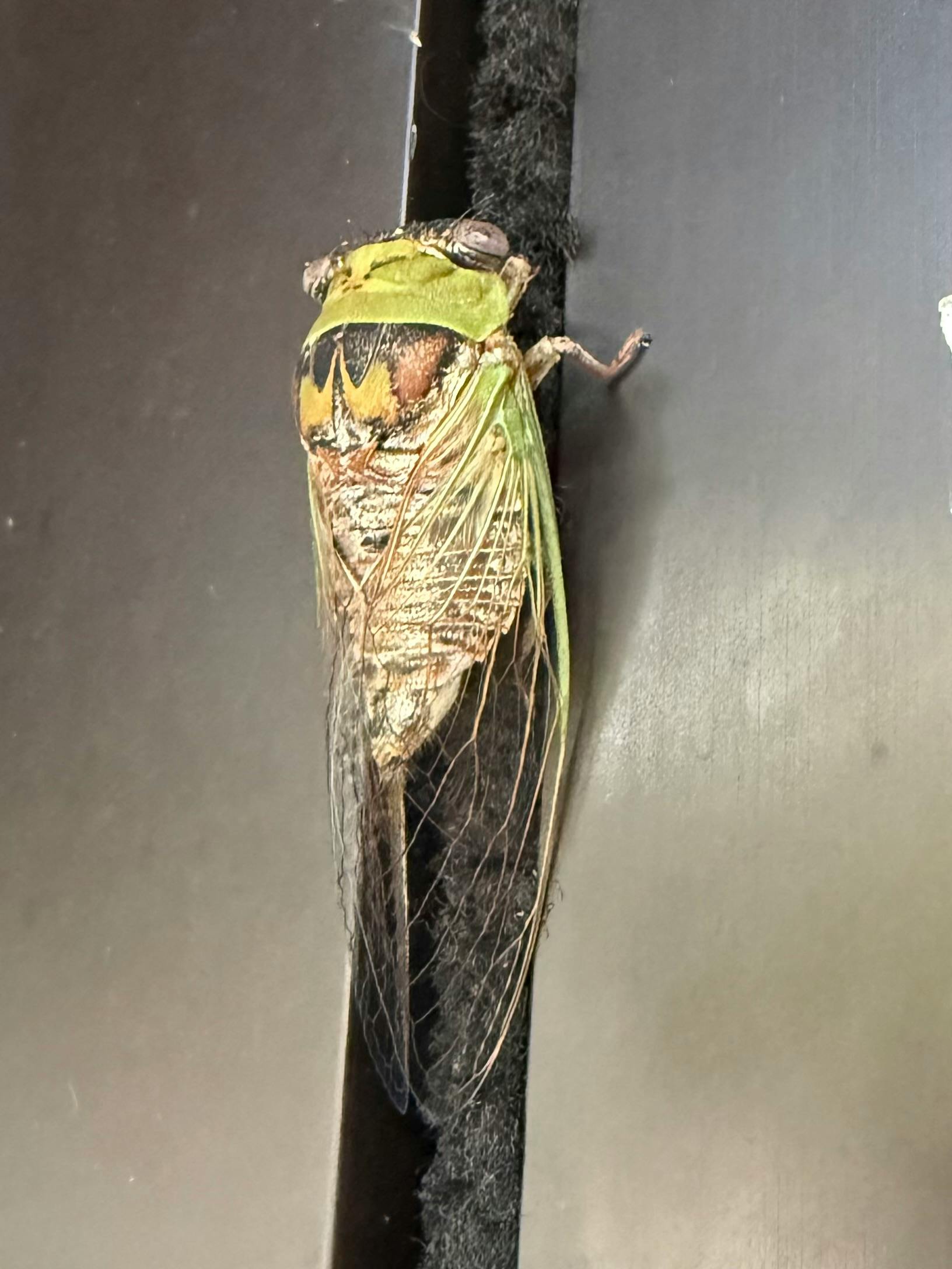 user avatar image for Heather Henderson