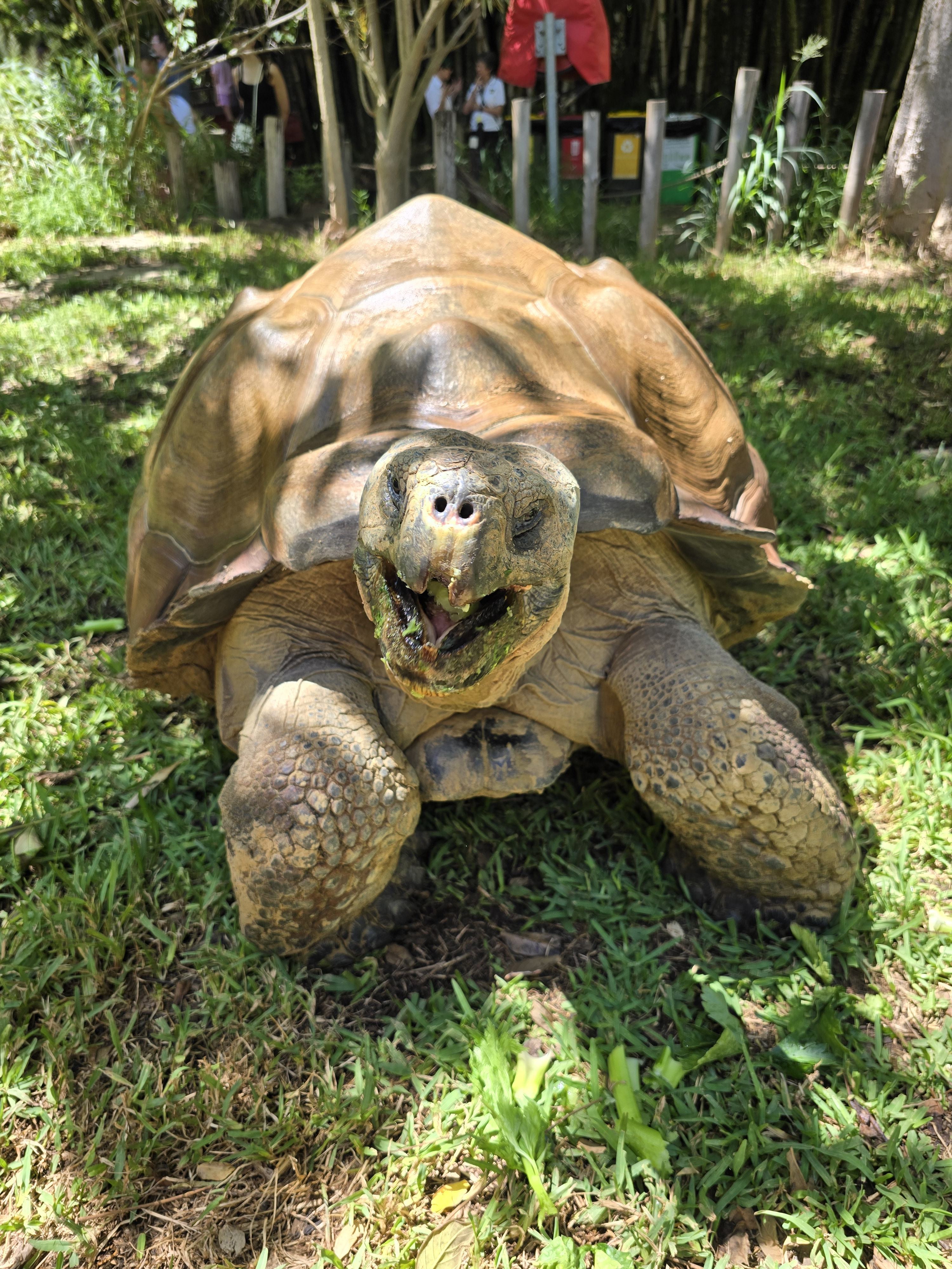 user avatar image for Sleepykoala 