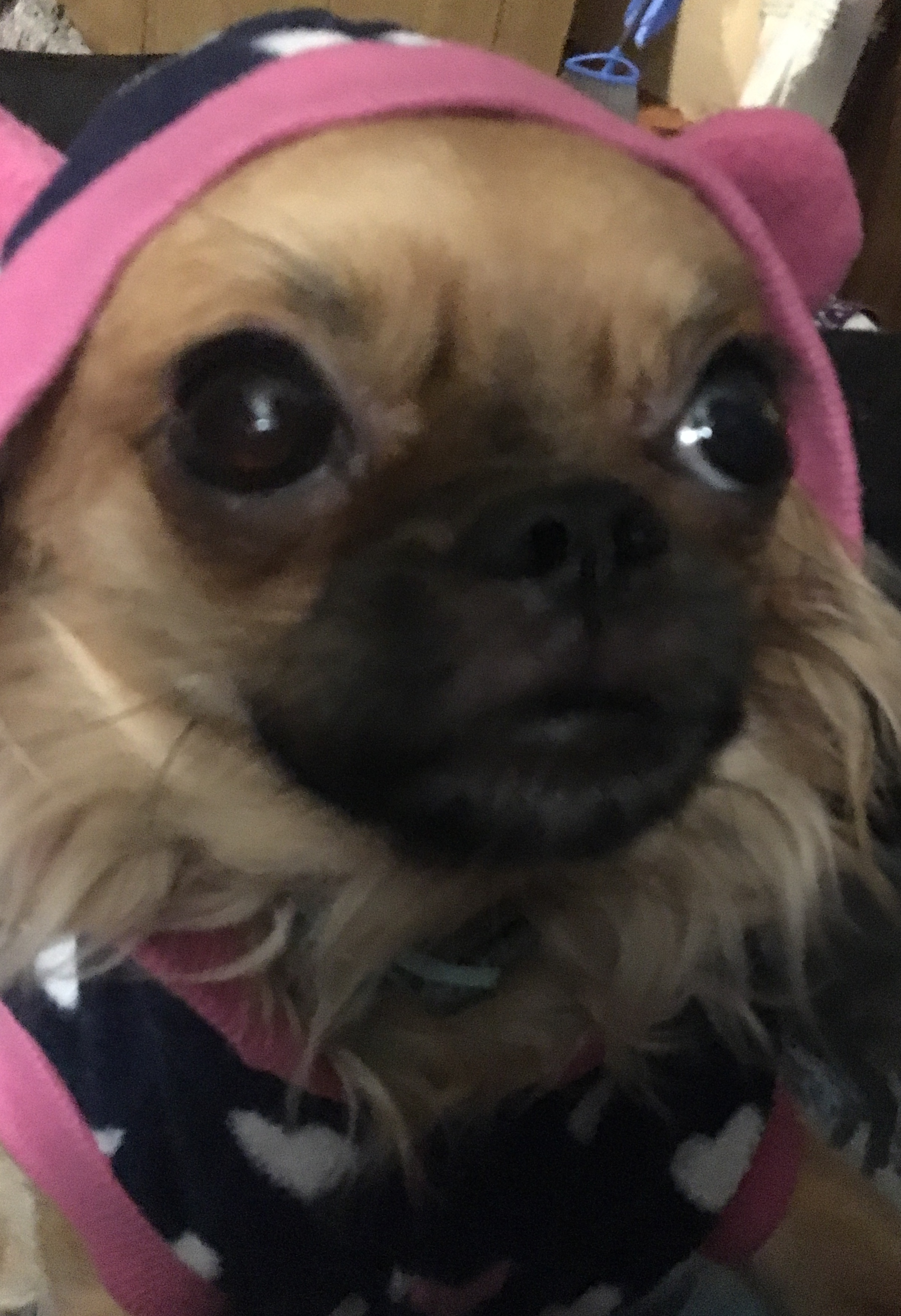user avatar image for Judy