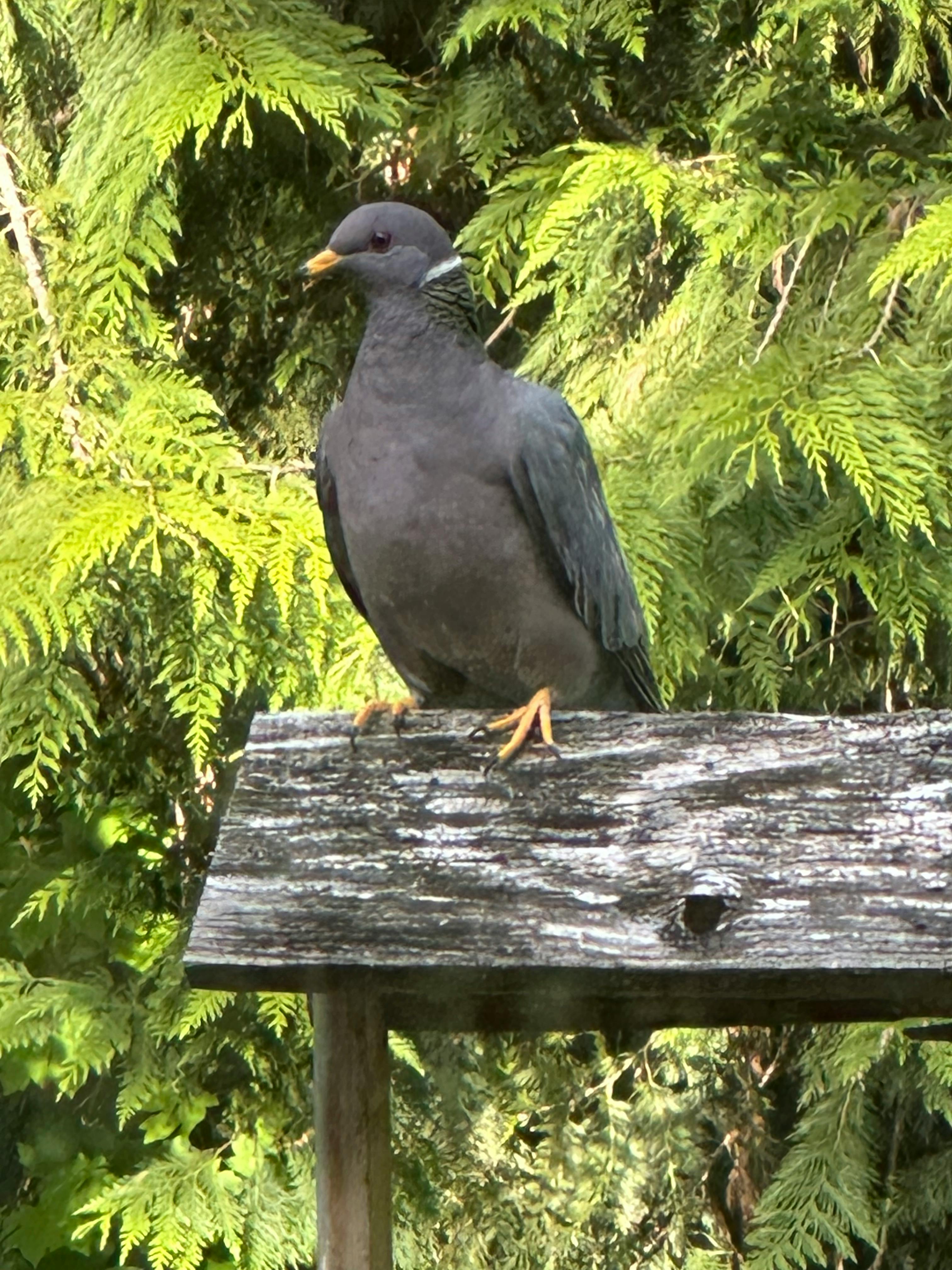 user avatar image for Dave Baughman