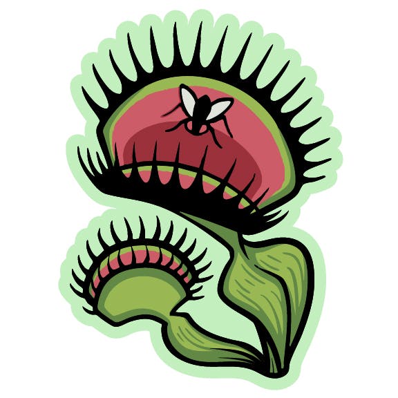 Venus Devours- Early Bird sticker