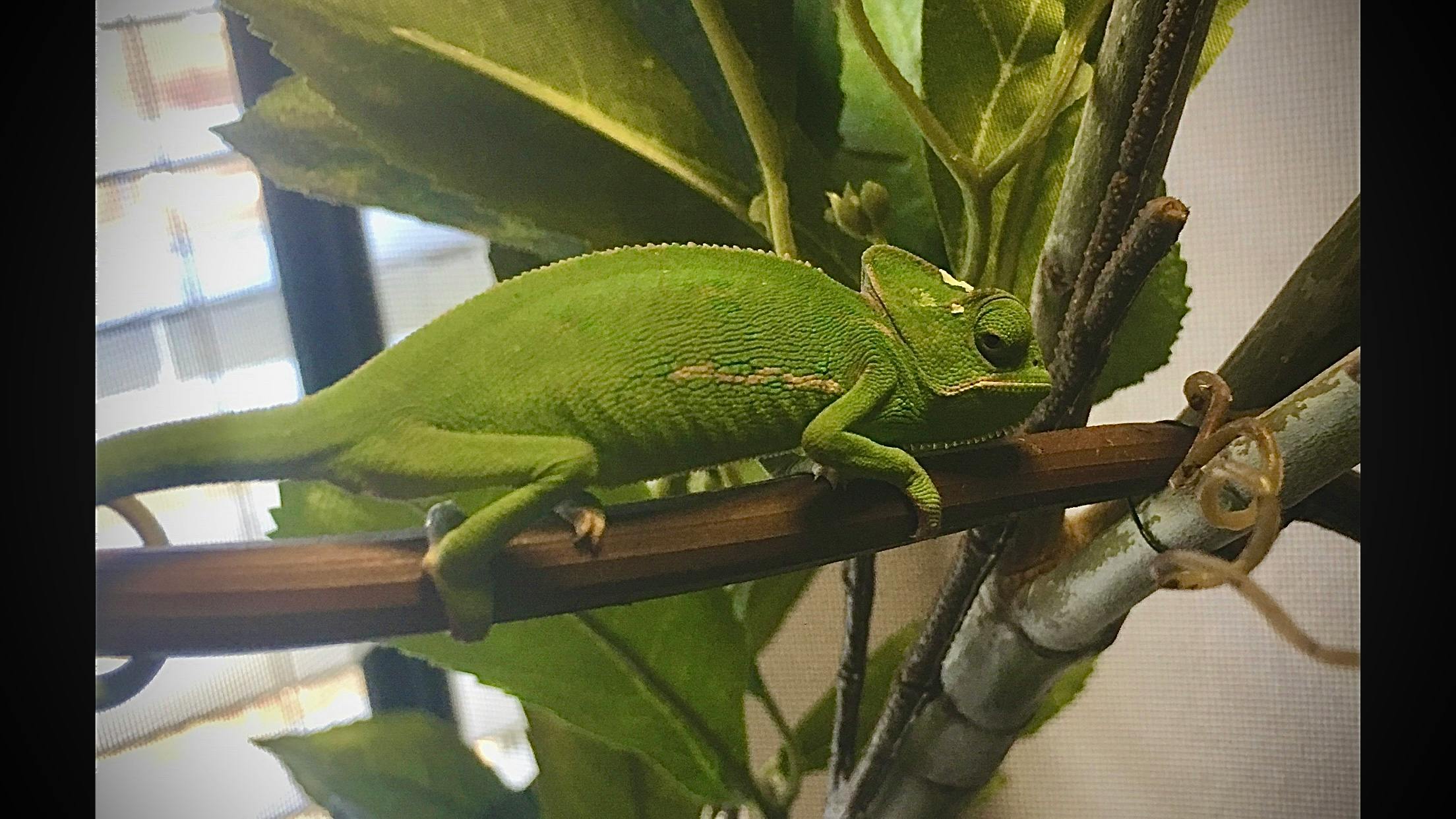 user avatar image for Stiofan