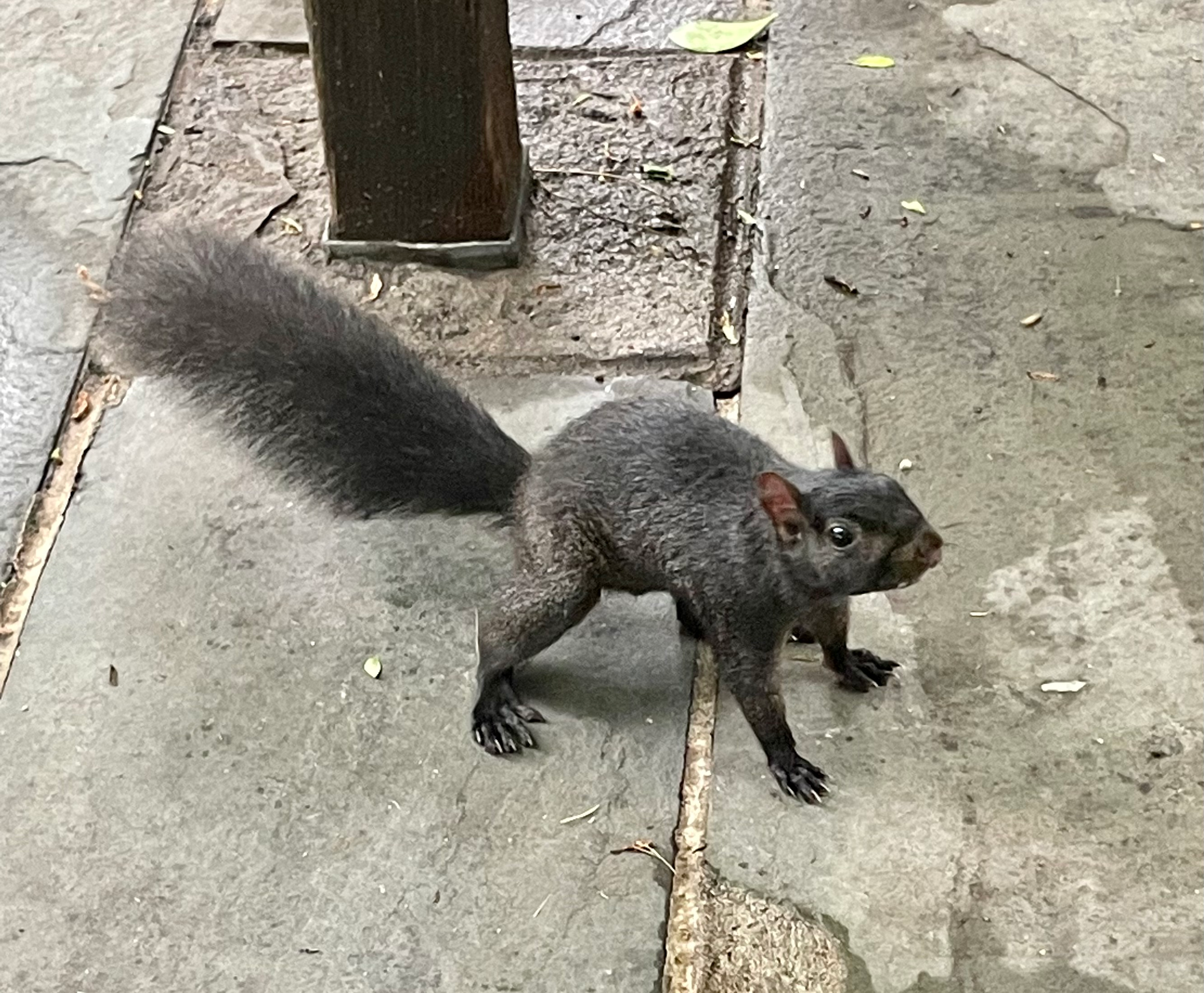 user avatar image for Hettie