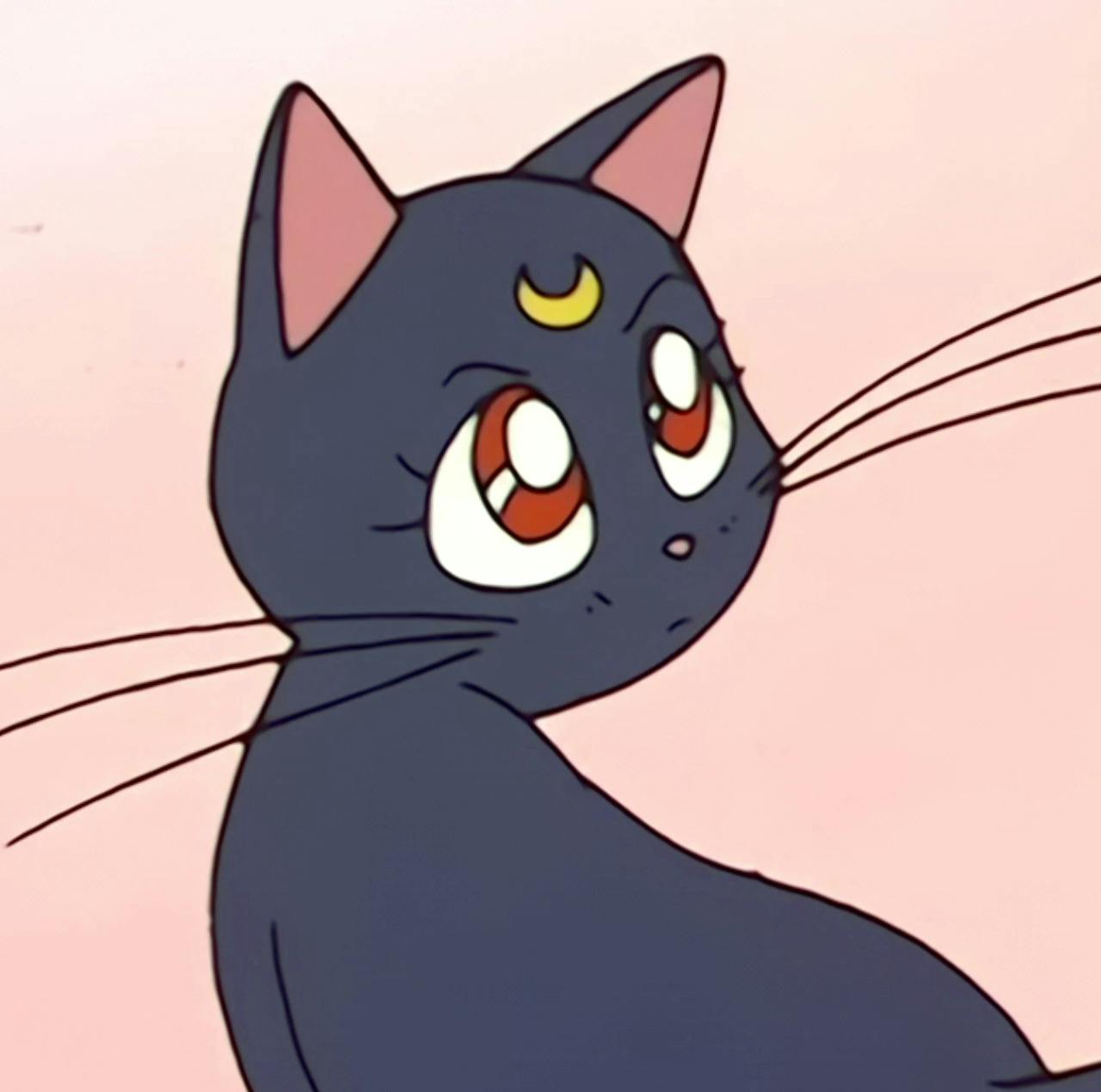 user avatar image for Meg