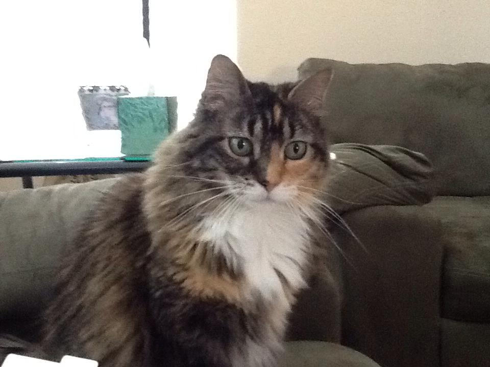 user avatar image for Michelle