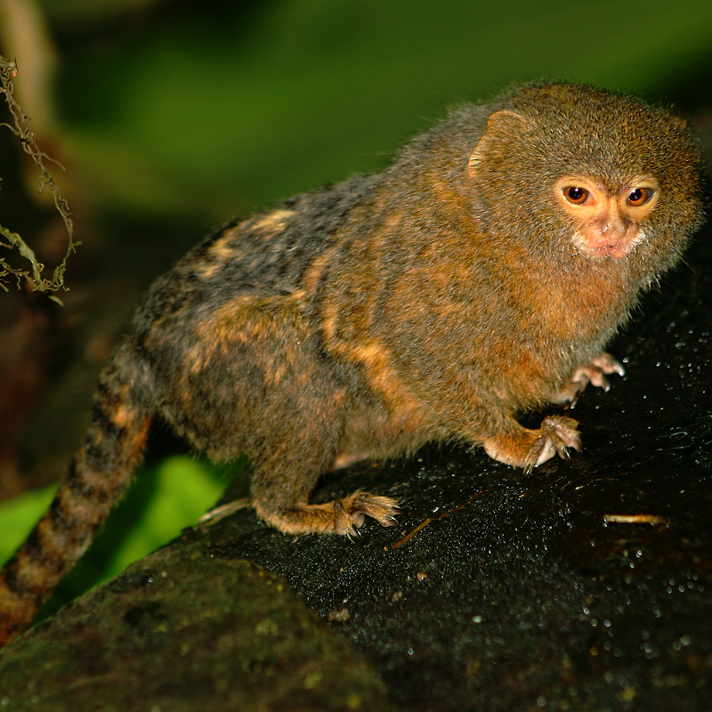 user avatar image for Theodore Trevor