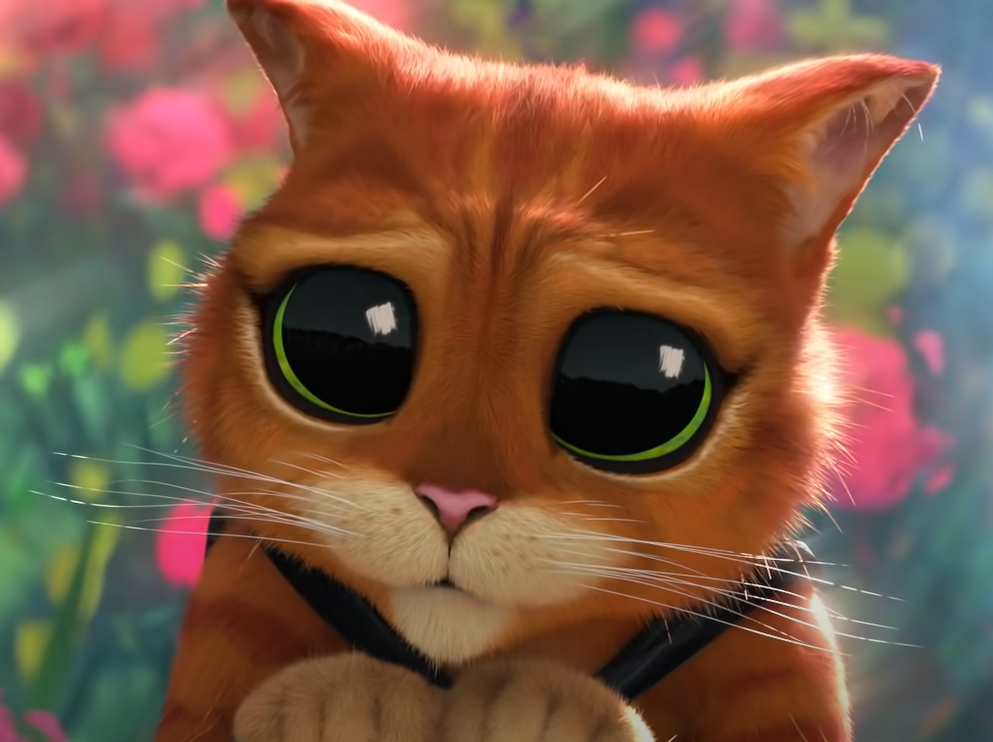 user avatar image for Jerry