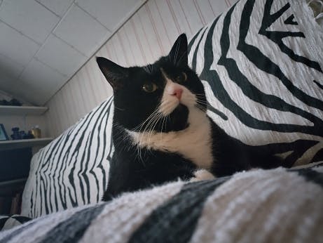 user avatar image for Eero Koivukoski