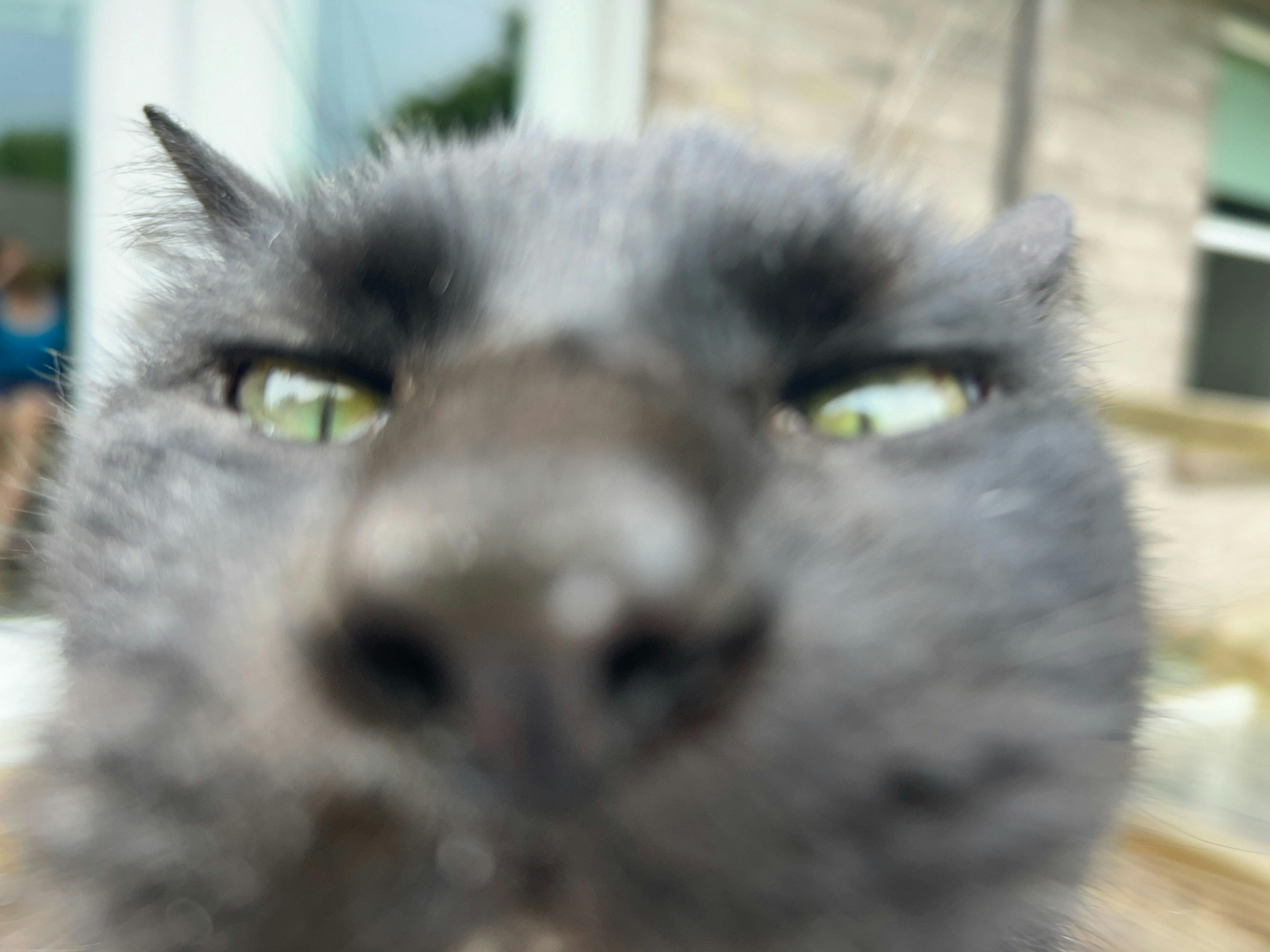 user avatar image for Zainieboo