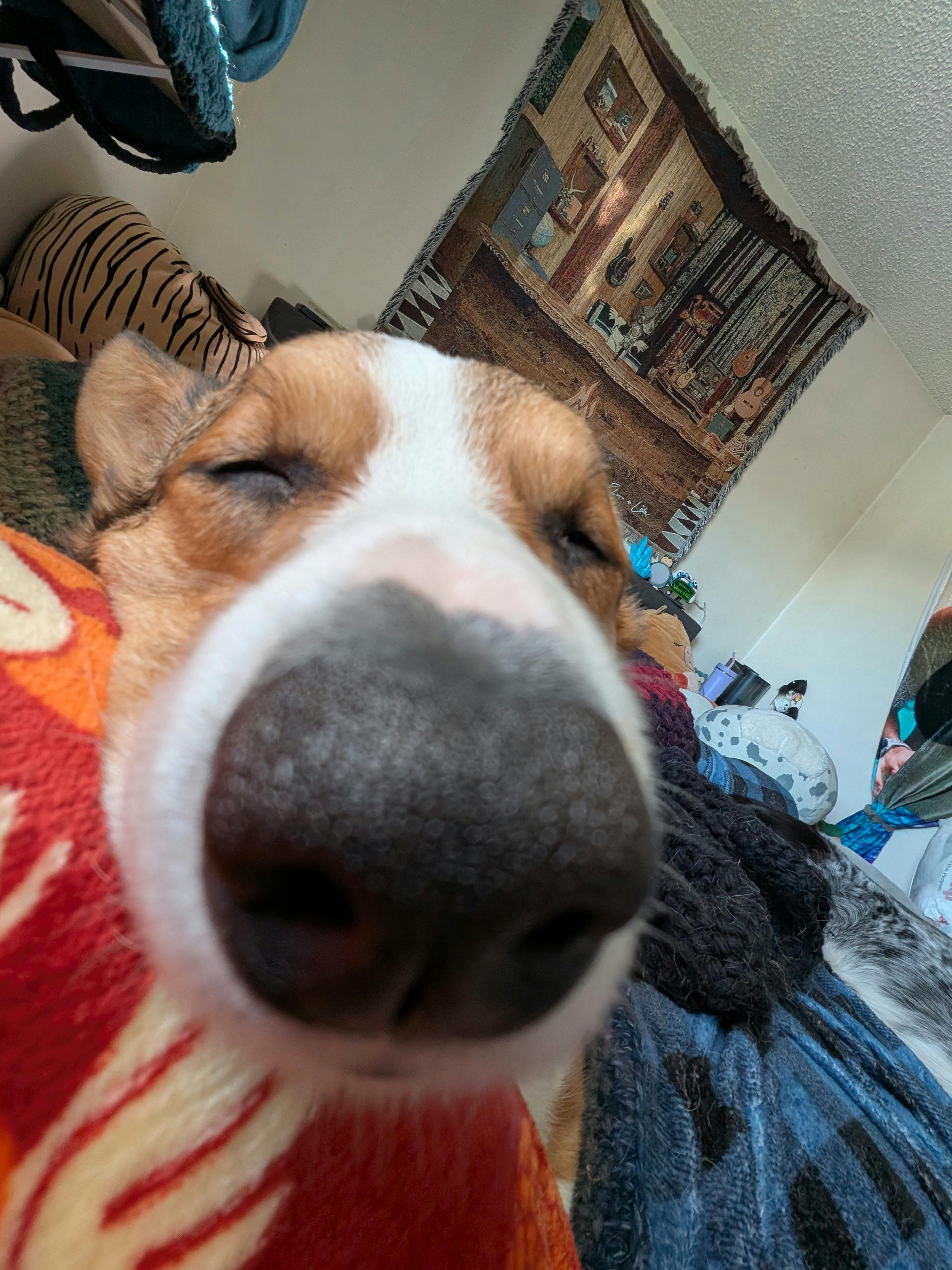 user avatar image for McKenzie Holliday