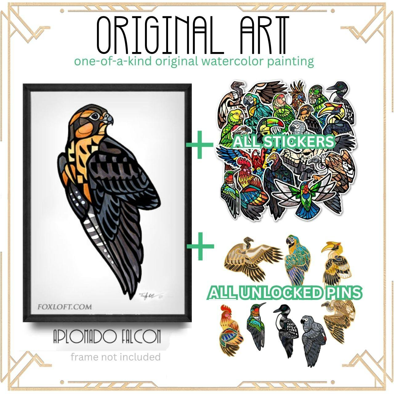 ★ Original Art: Aplomado Falcon ★