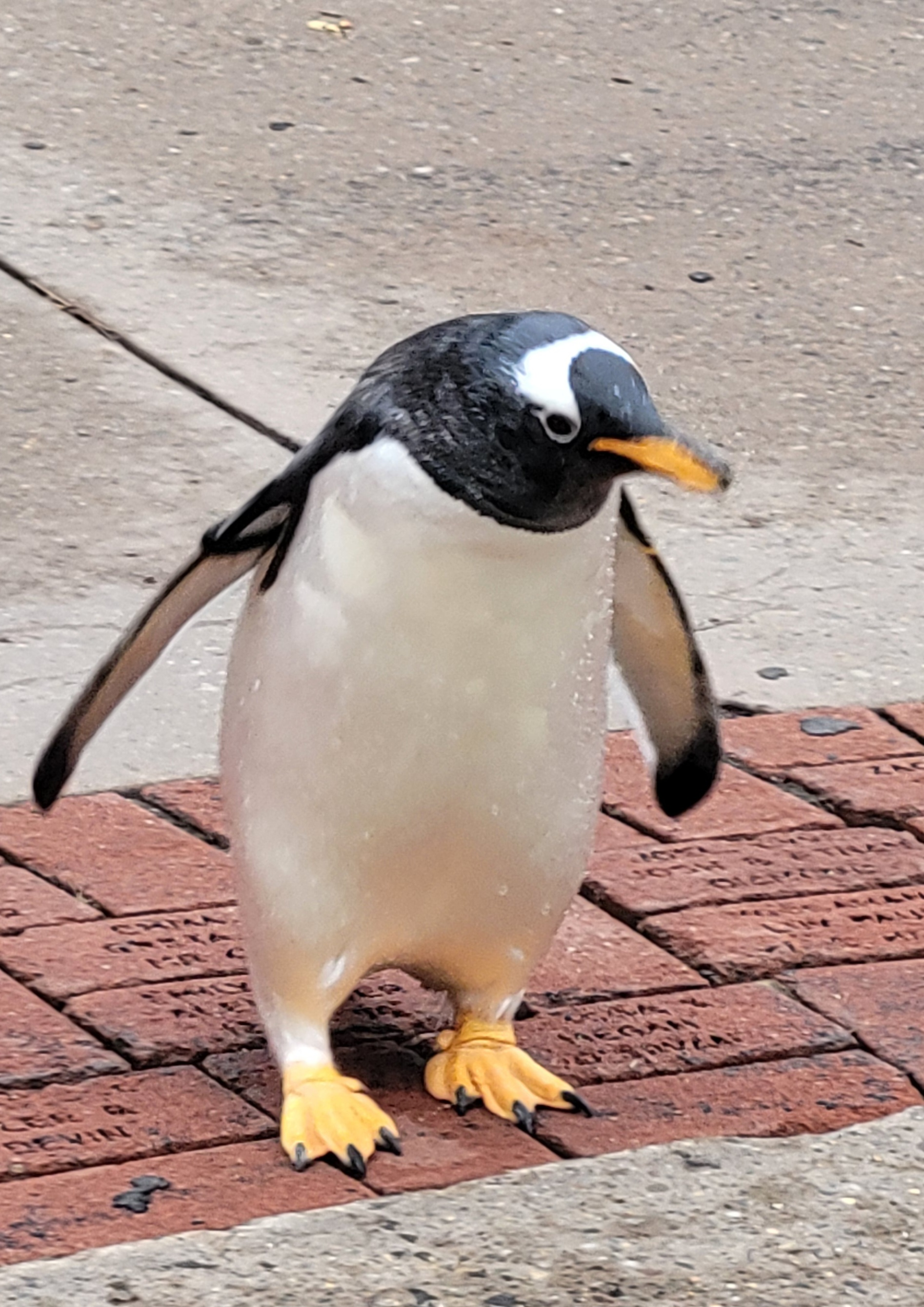 user avatar image for Steven Darrall