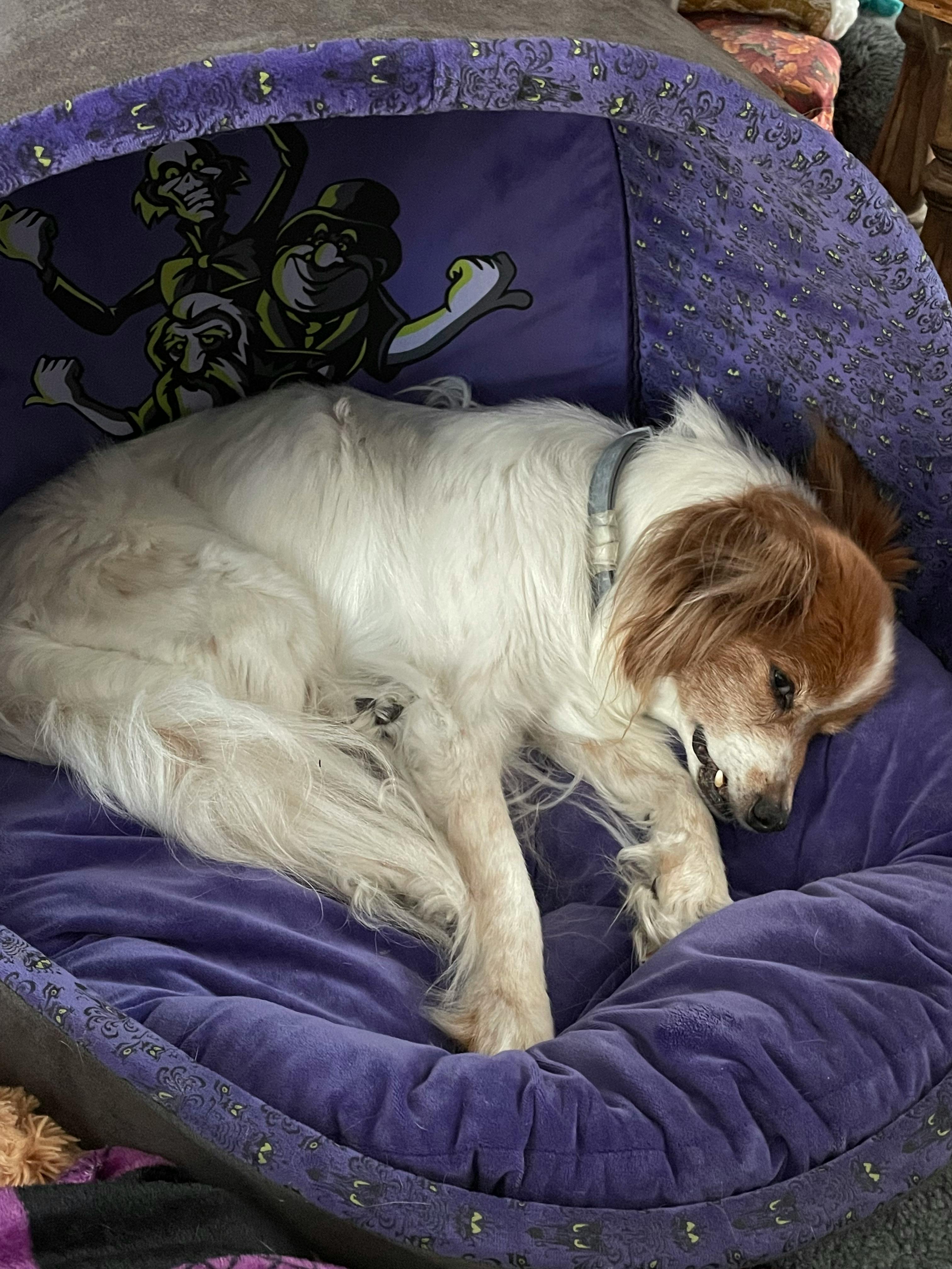 user avatar image for Arleen Dougherty