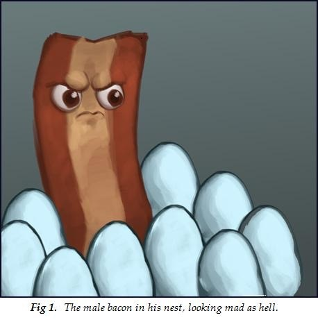 user avatar image for Y²