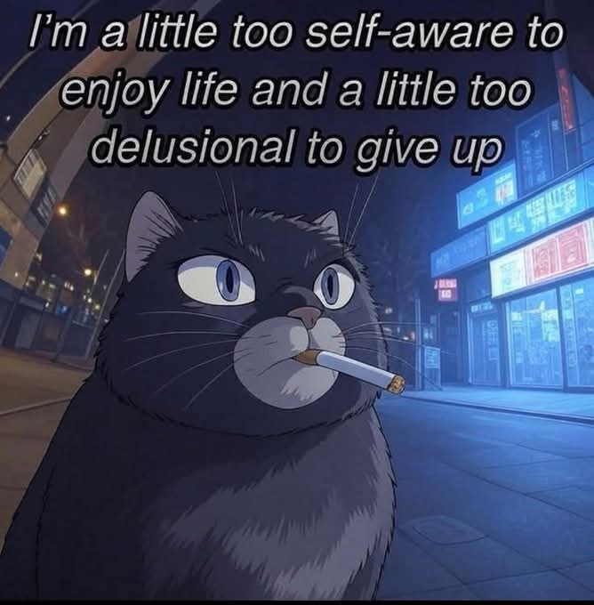 user avatar image for Martin A.