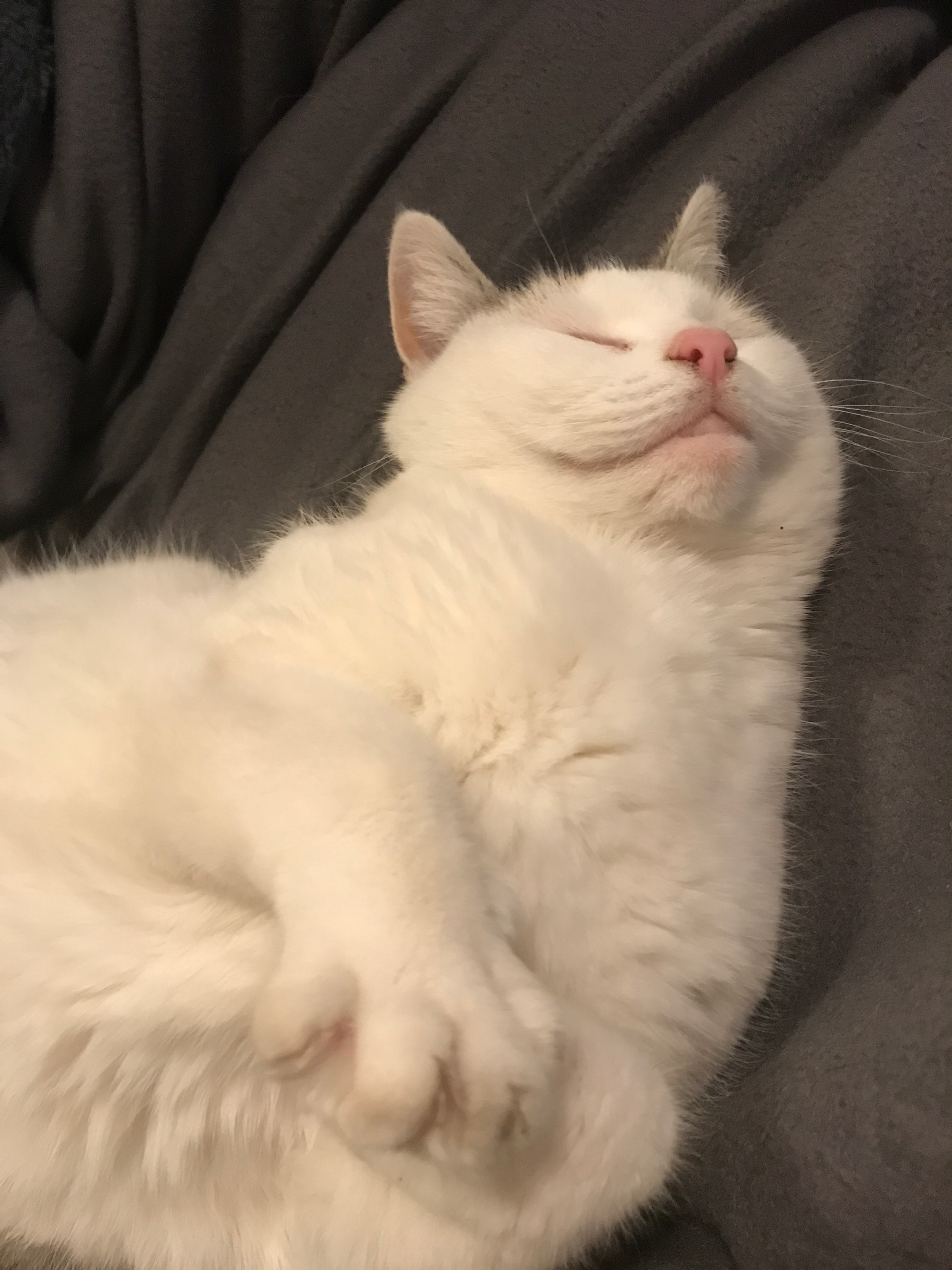 user avatar image for Lorijn