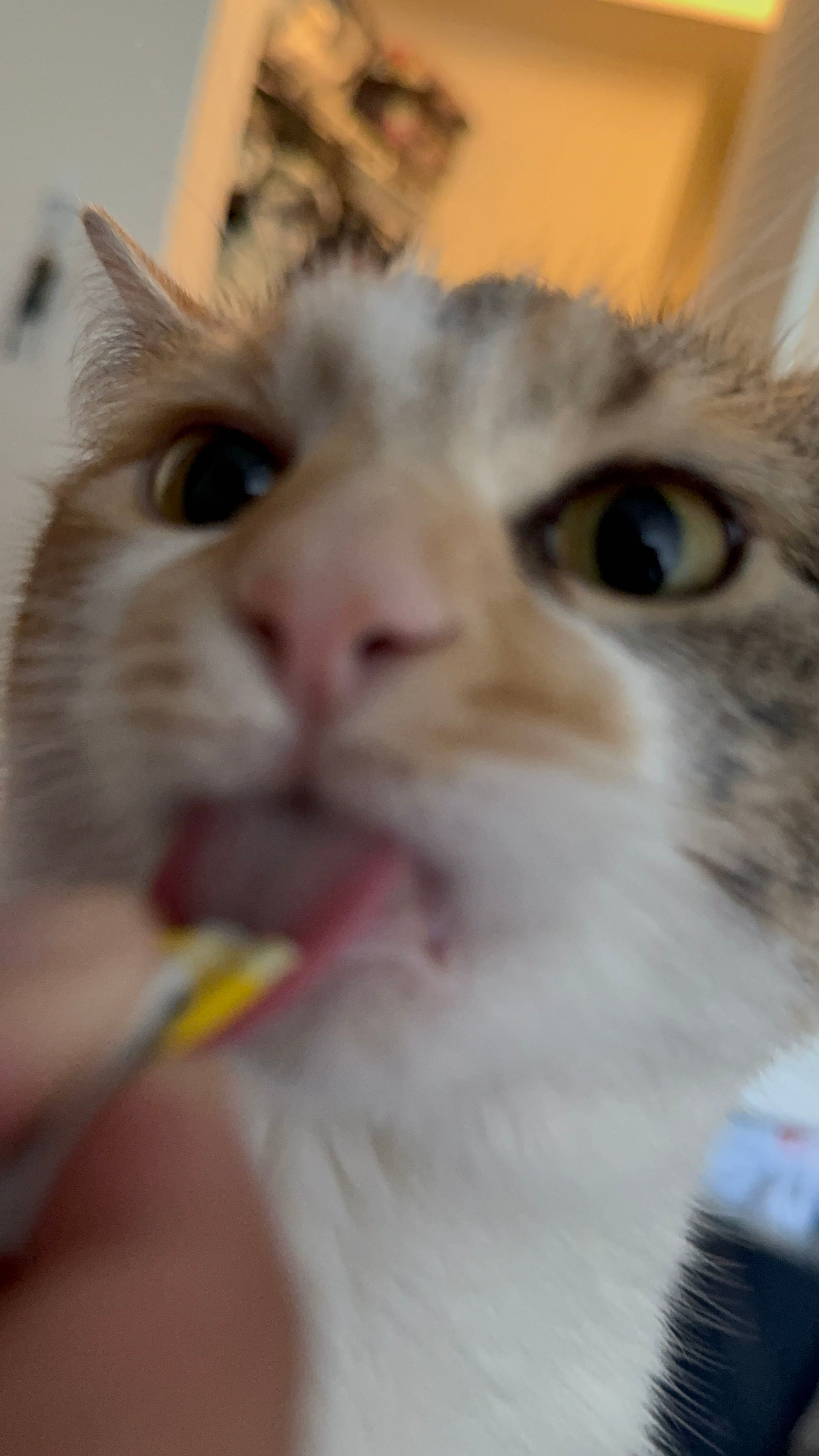 user avatar image for Rhys