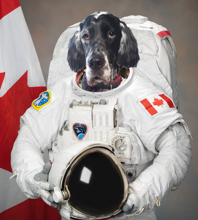 user avatar image for James Seymour