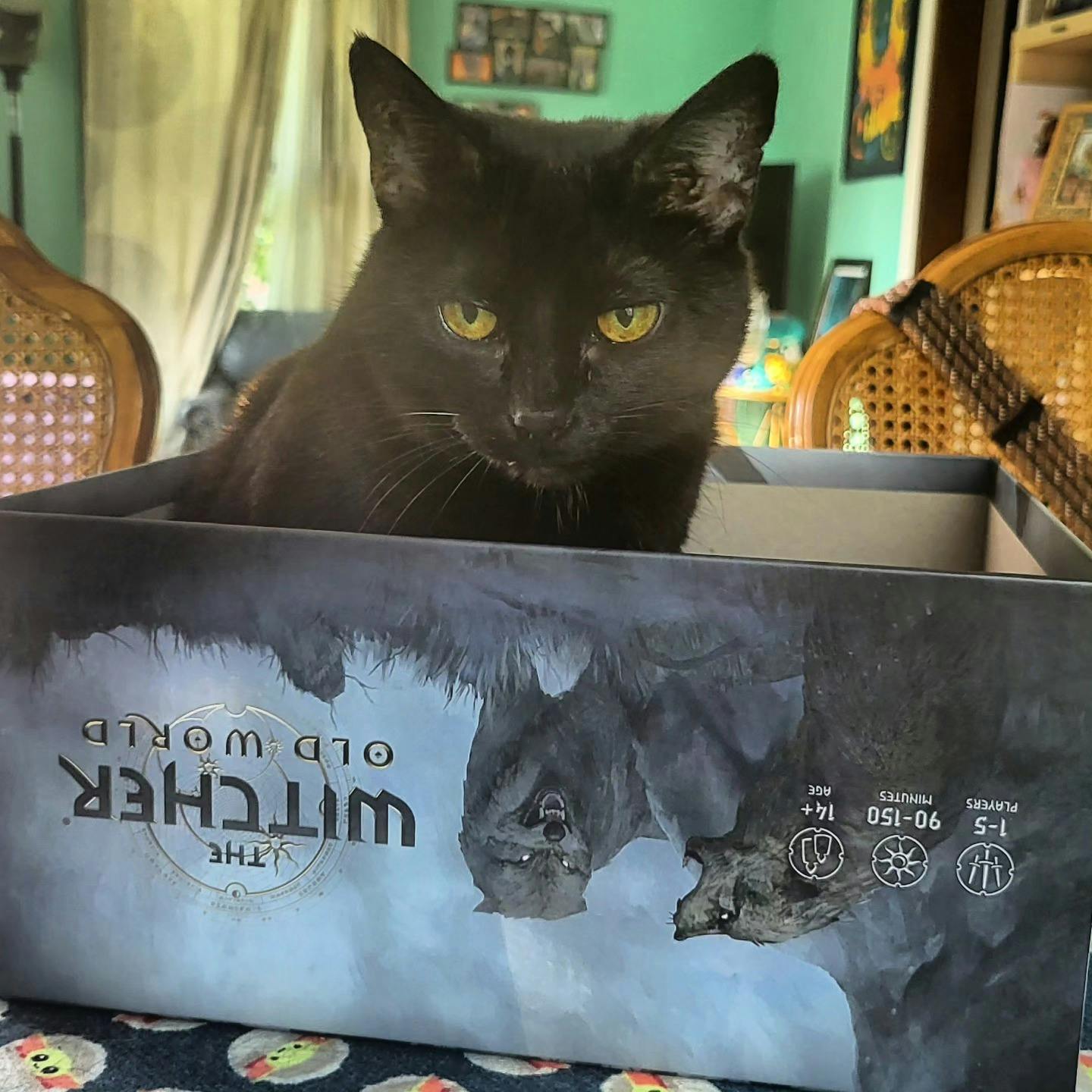 user avatar image for Patrick Moore