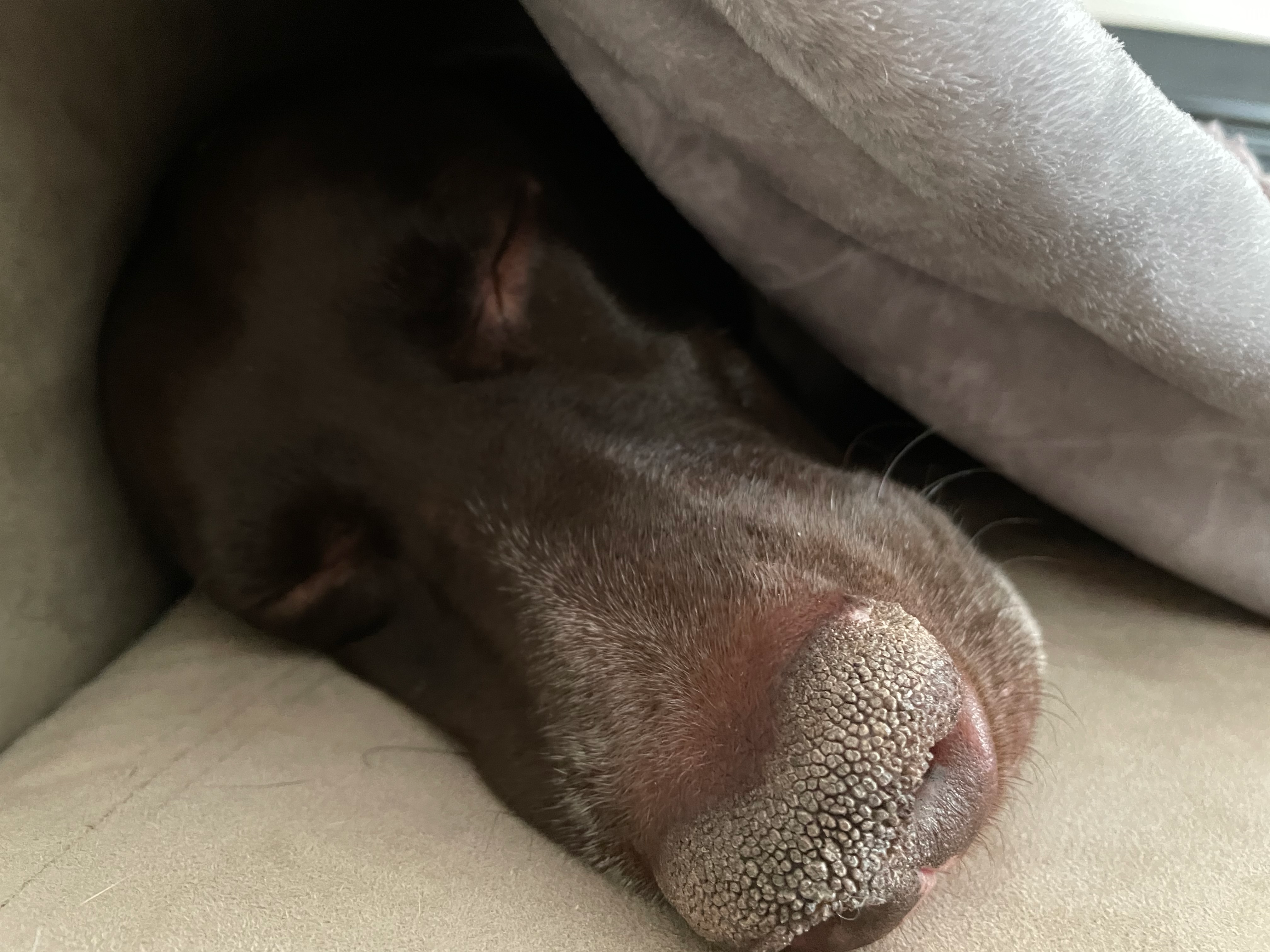 user avatar image for Lisa I 