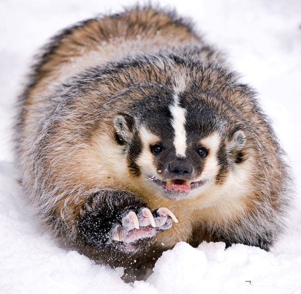 user avatar image for Tim Barry