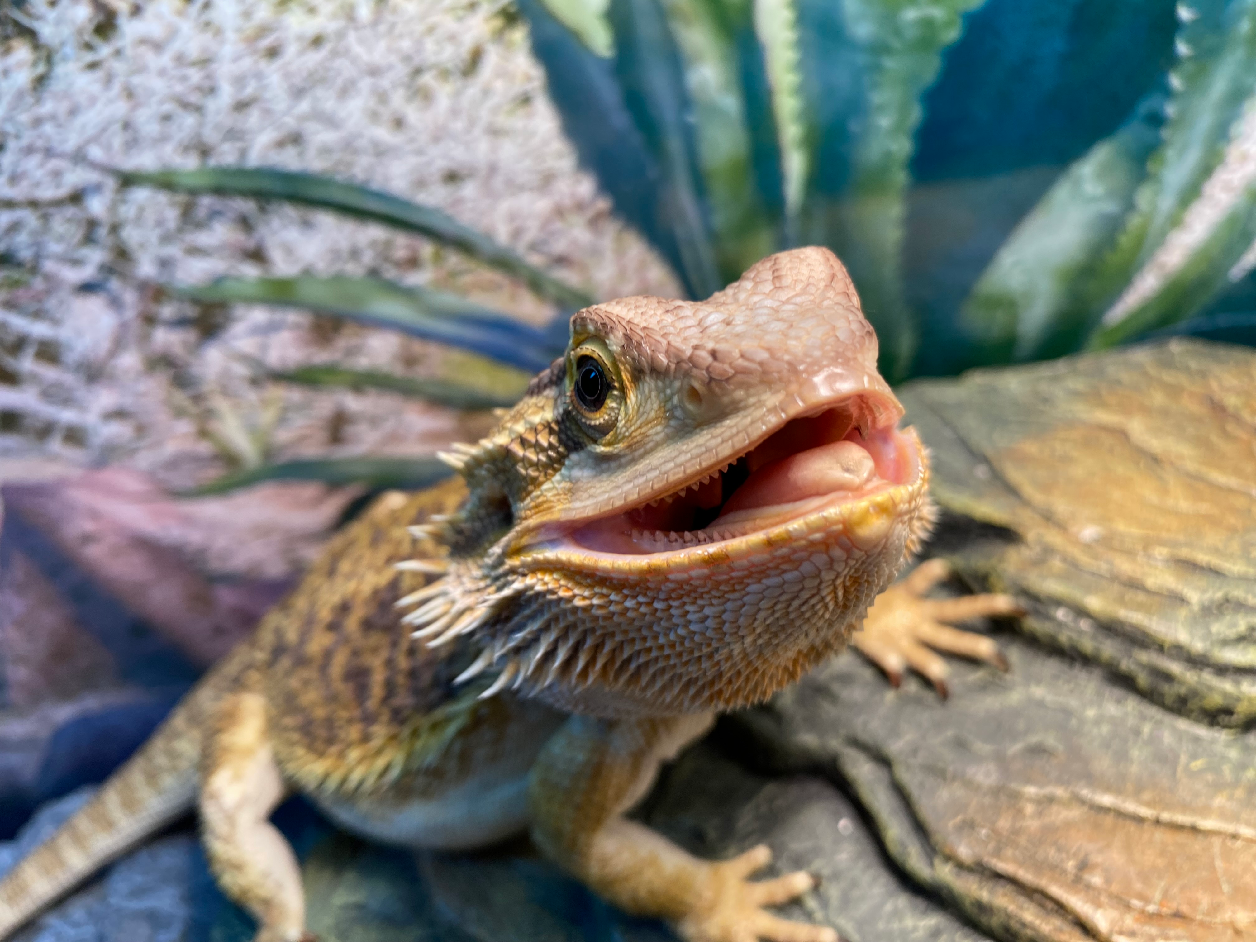 user avatar image for Danielle