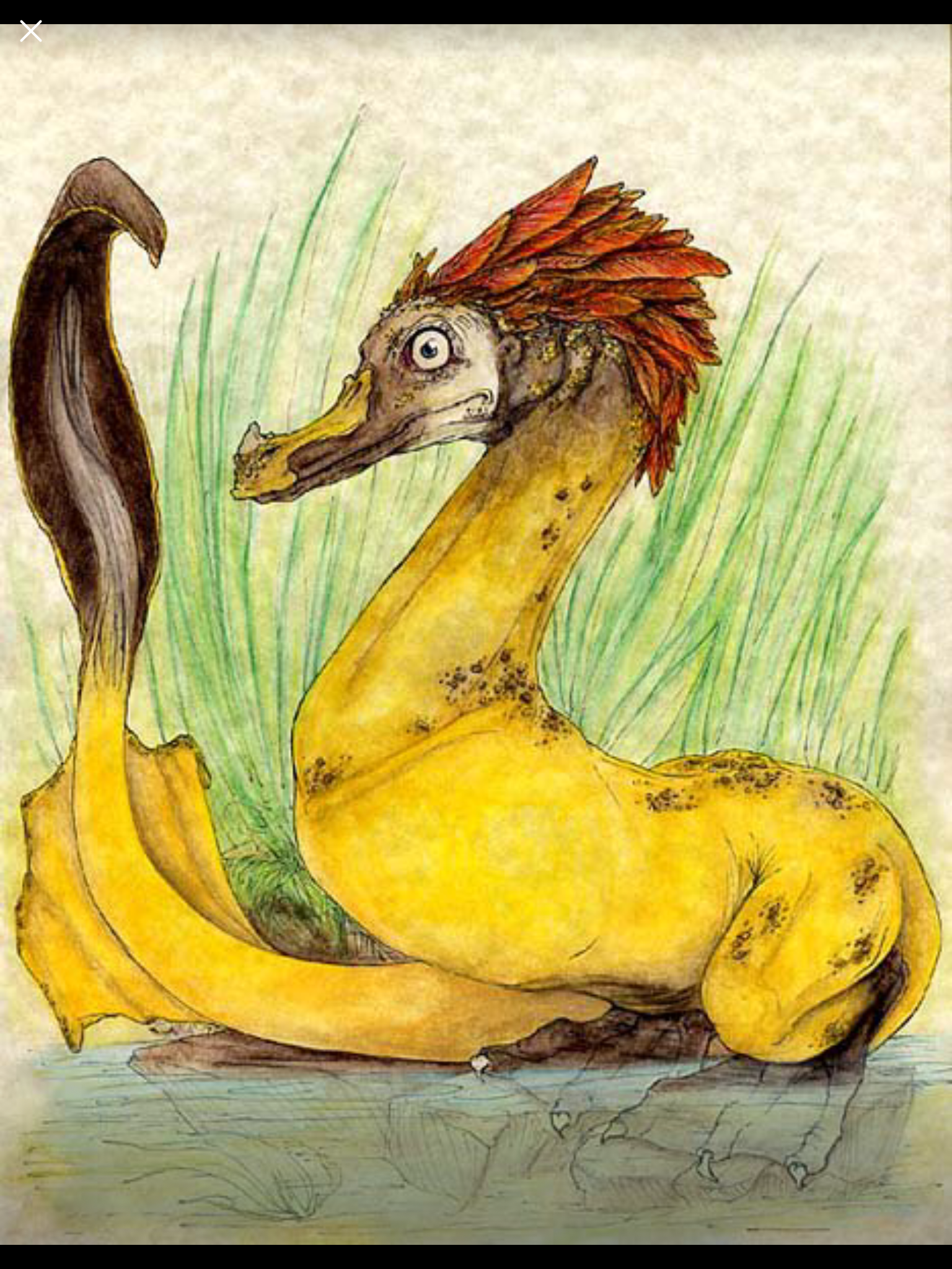 user avatar image for Keya