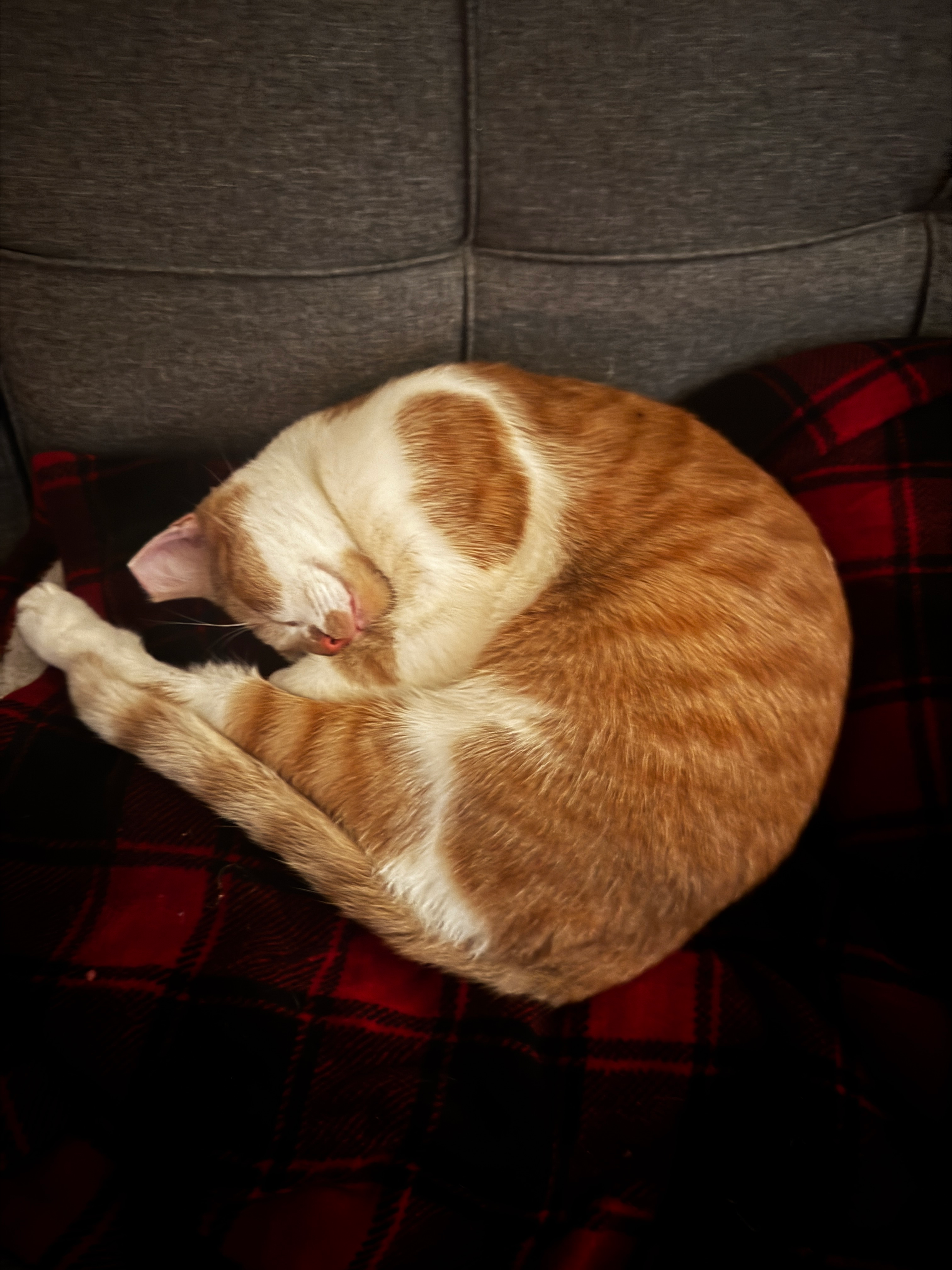 user avatar image for pastcon