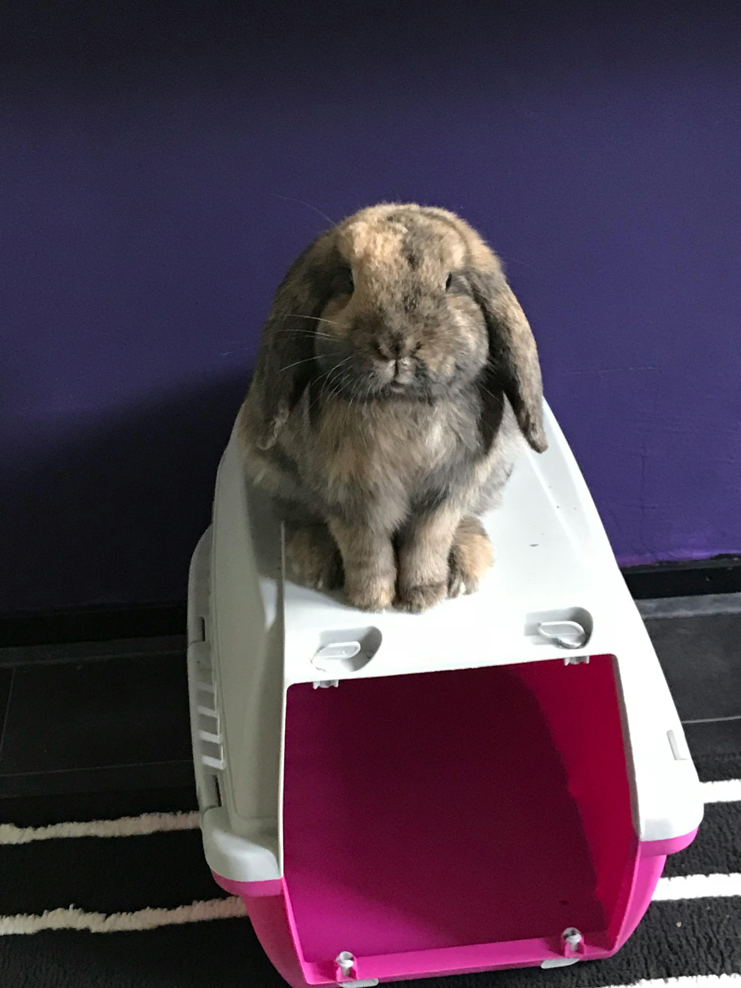 user avatar image for maike