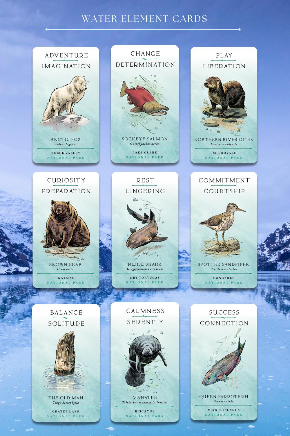 water element cards including manatee, parrotfish,  nurse shark, brown bear, spotted sandpiper