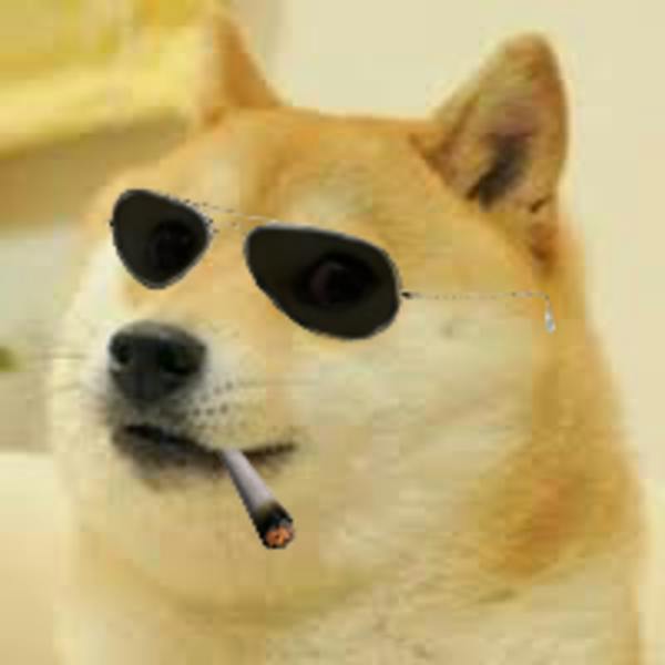 user avatar image for Rhys