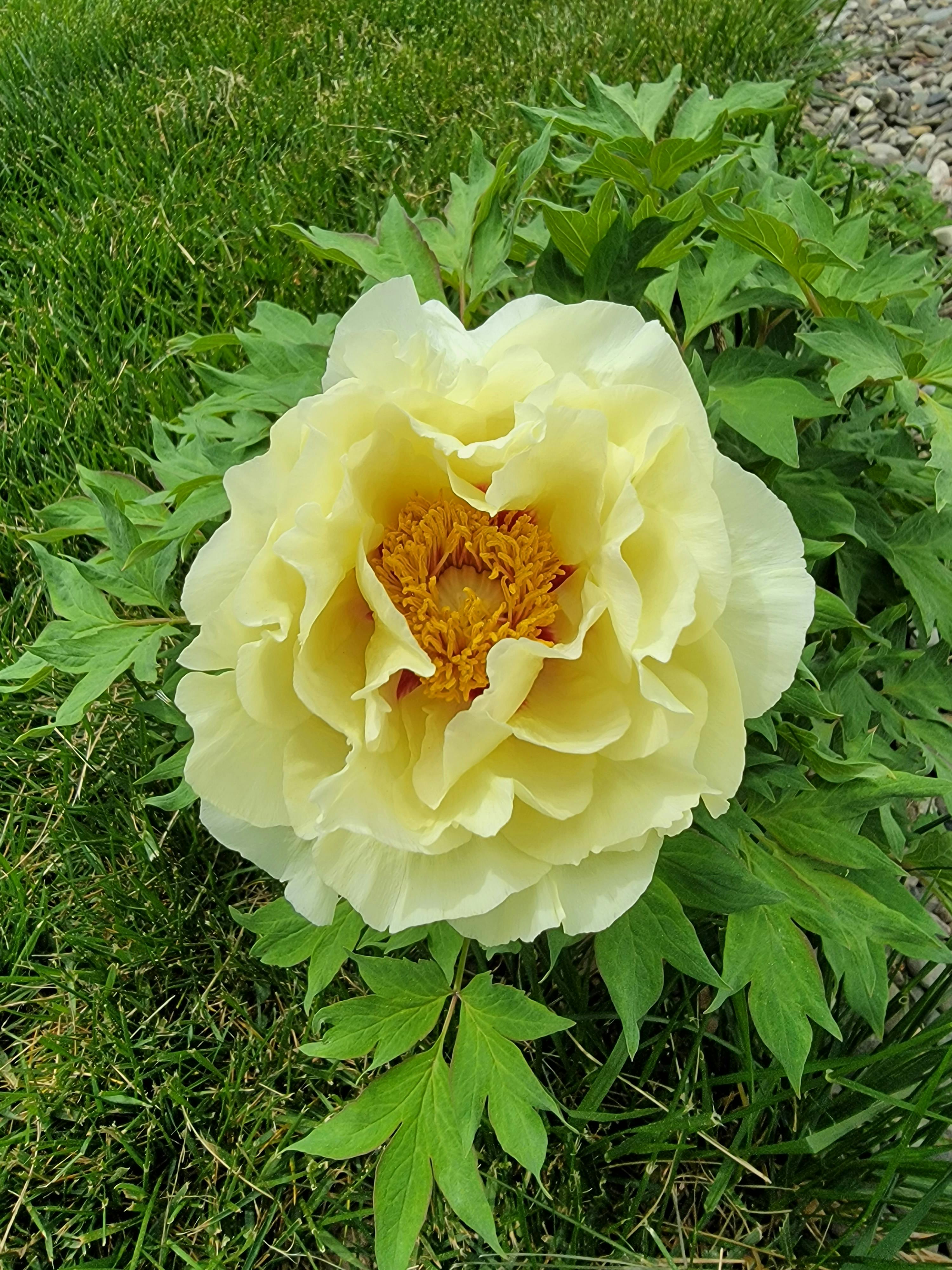 user avatar image for JWithey