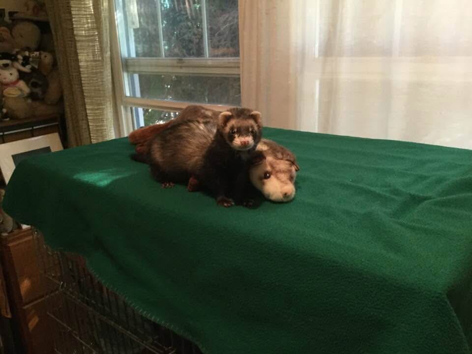 user avatar image for Kate Pappas