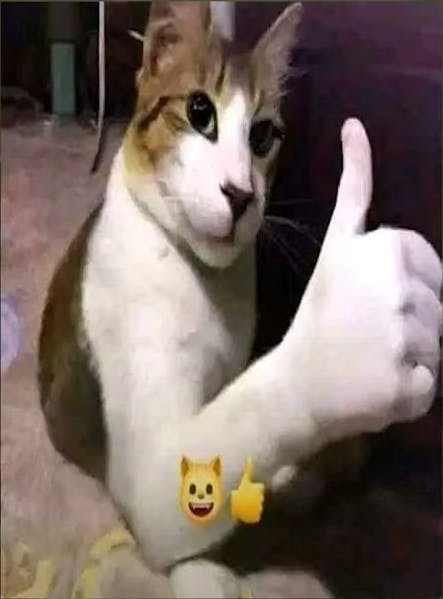 user avatar image for Solenn Clairy