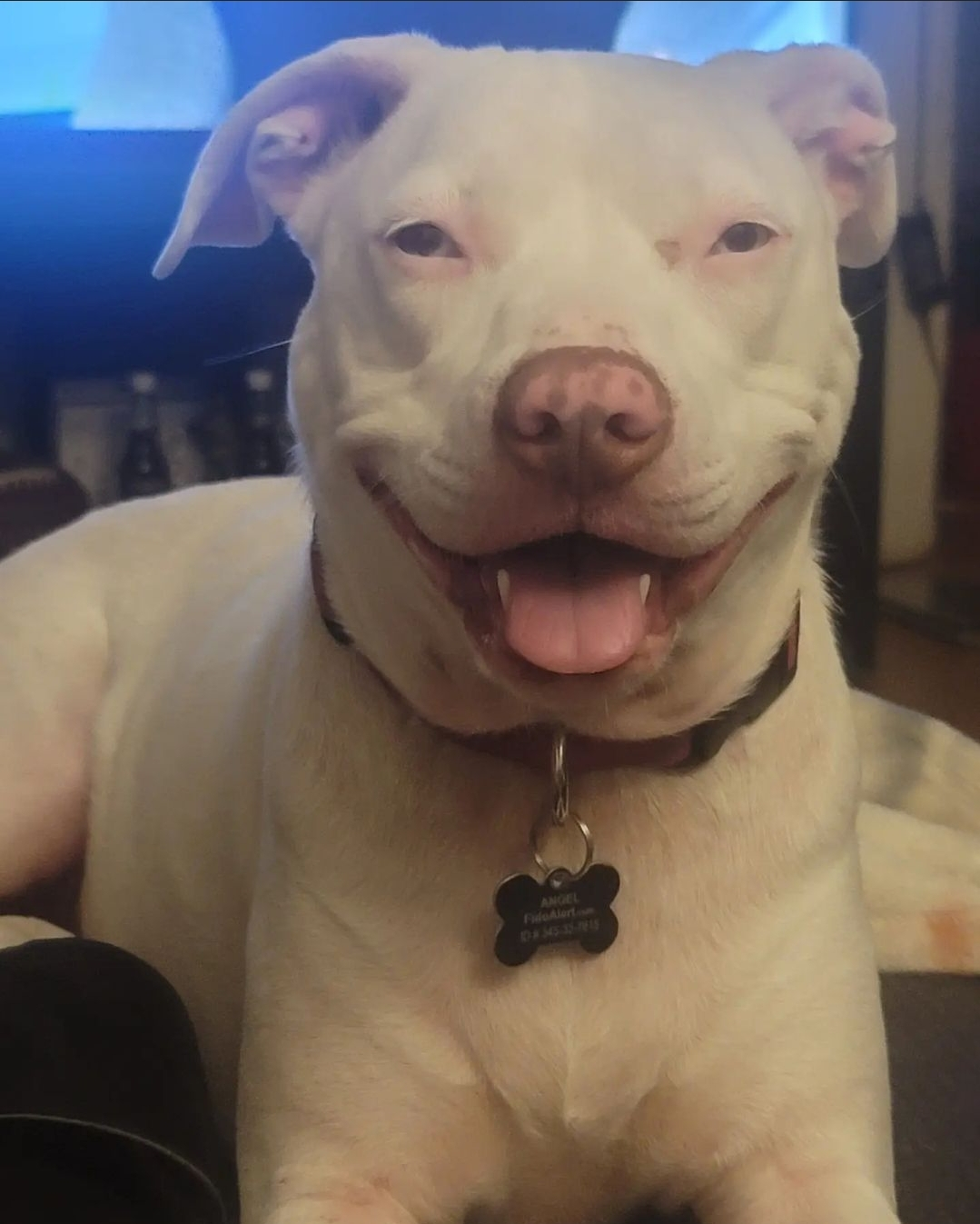 user avatar image for Sxakio